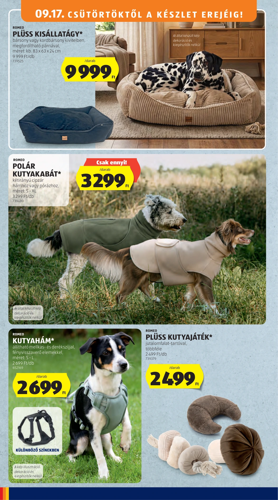 Flyer page 38