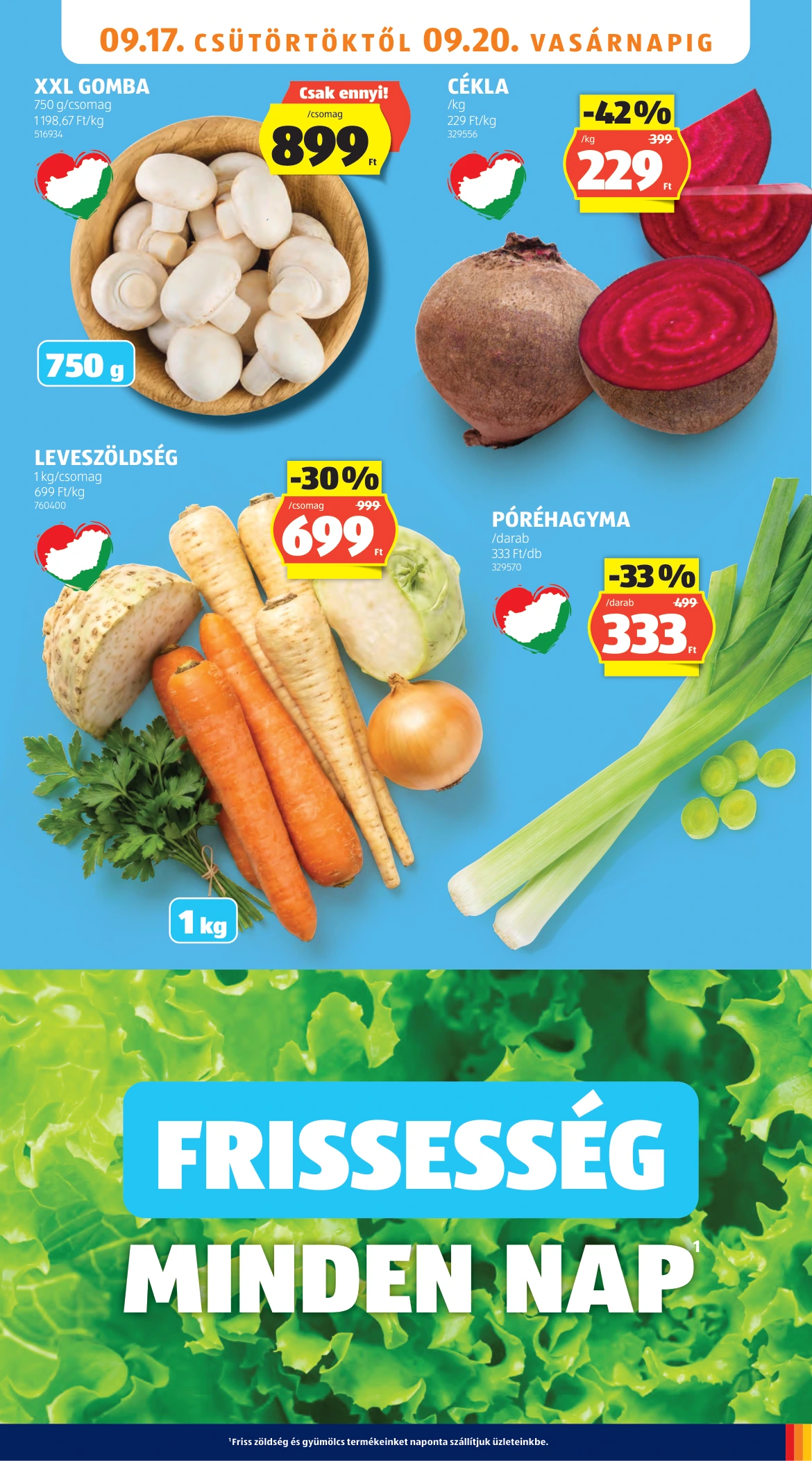 Flyer page 7