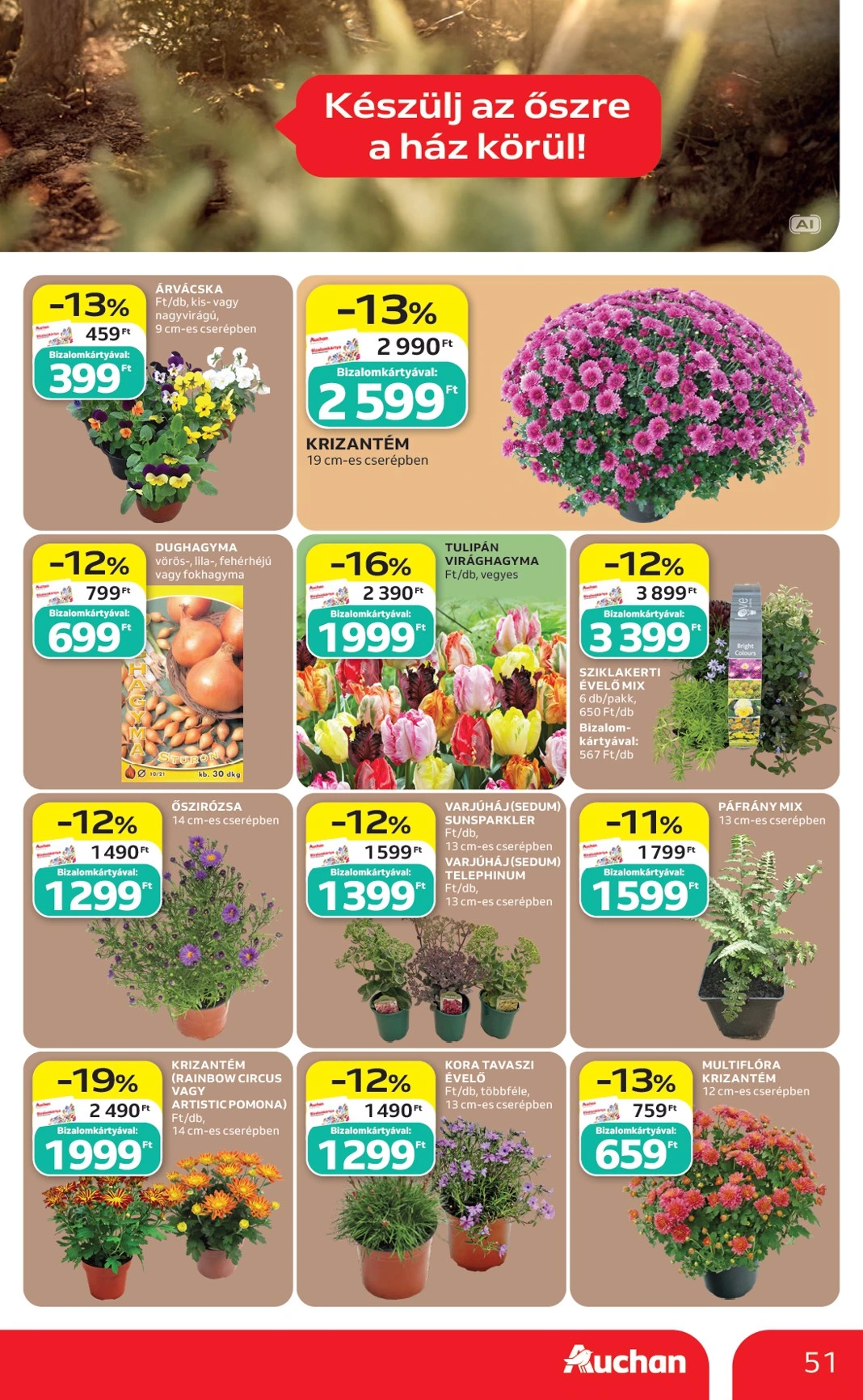 Flyer page 51