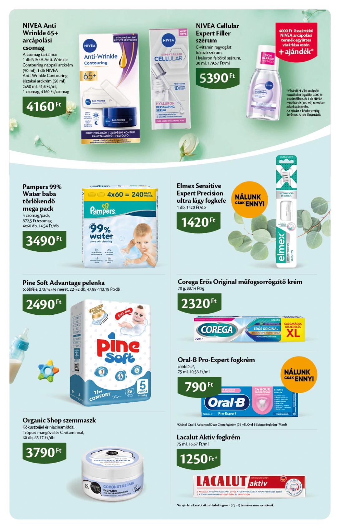 Flyer page 5