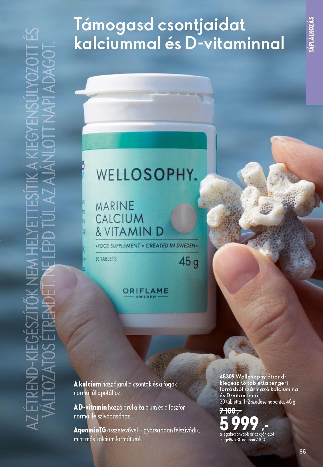 Flyer page 85