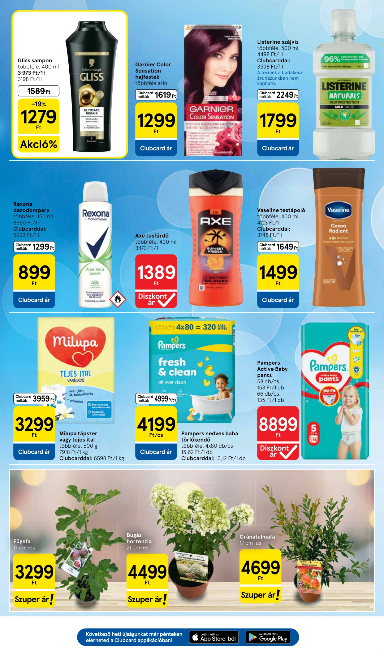 Flyer page 7