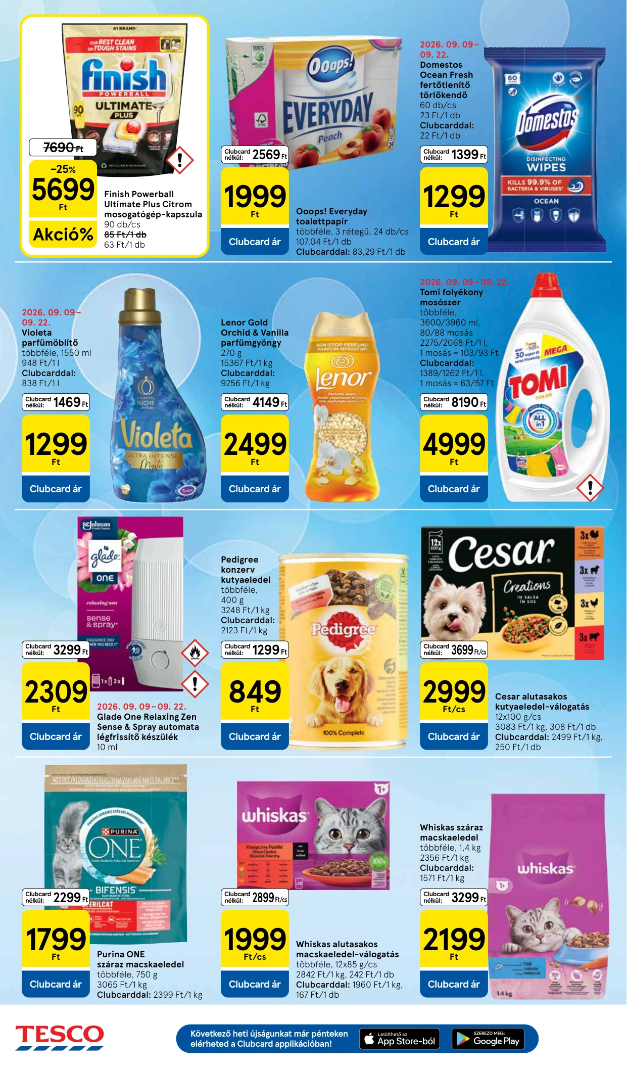 Flyer page 8