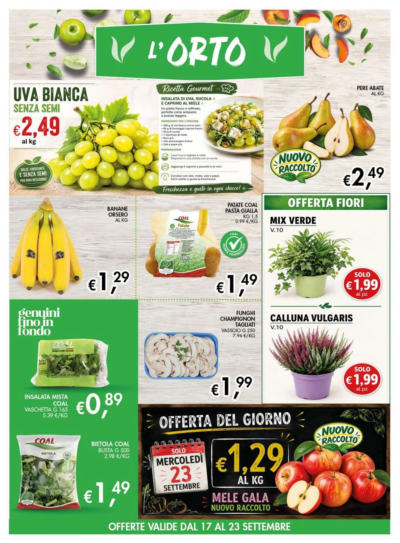 Flyer page 7