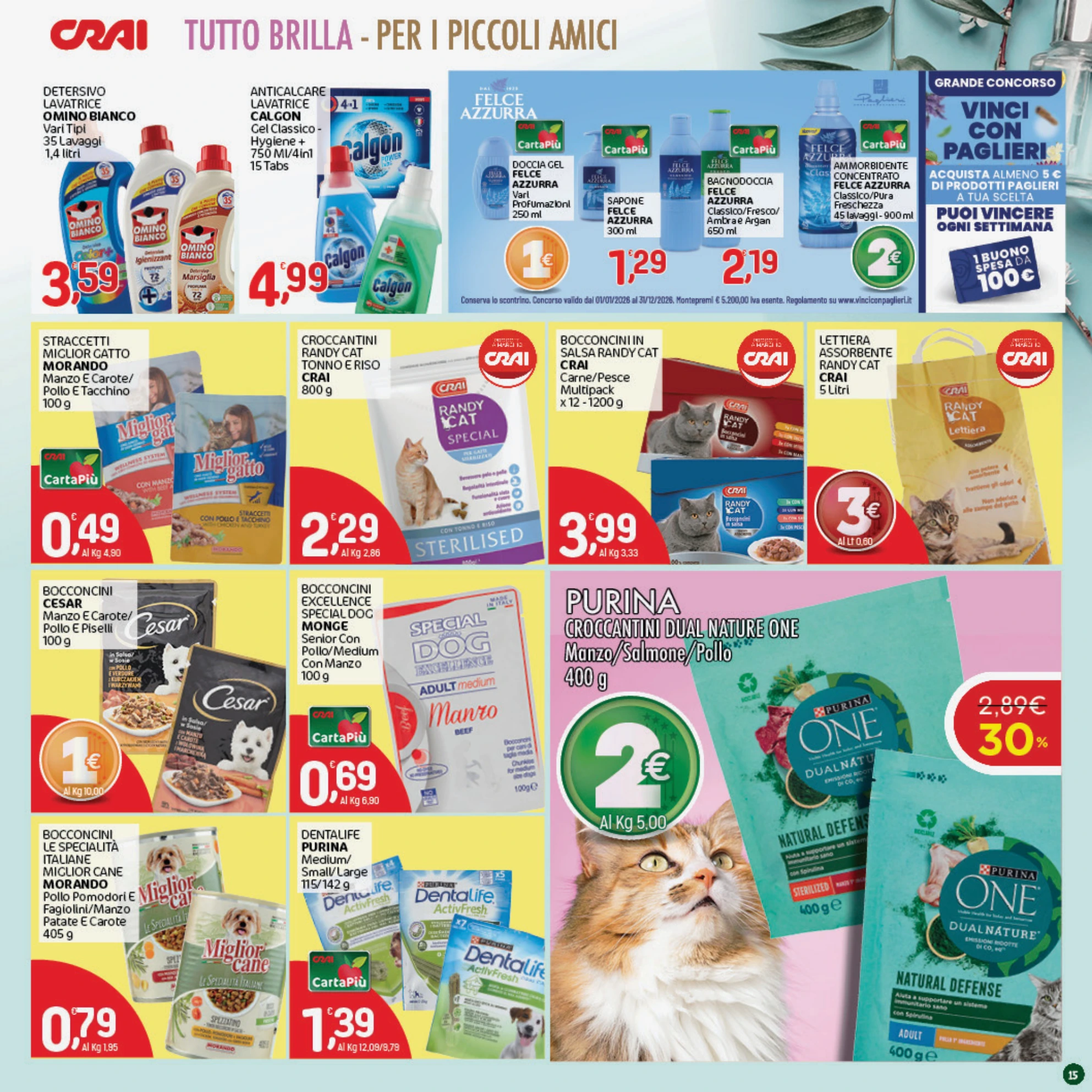 Flyer page 15