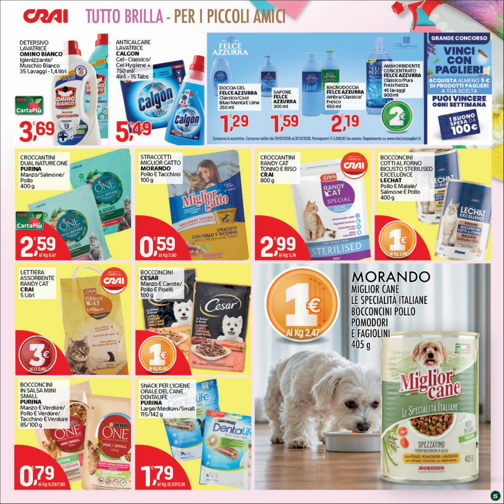 Flyer page 15