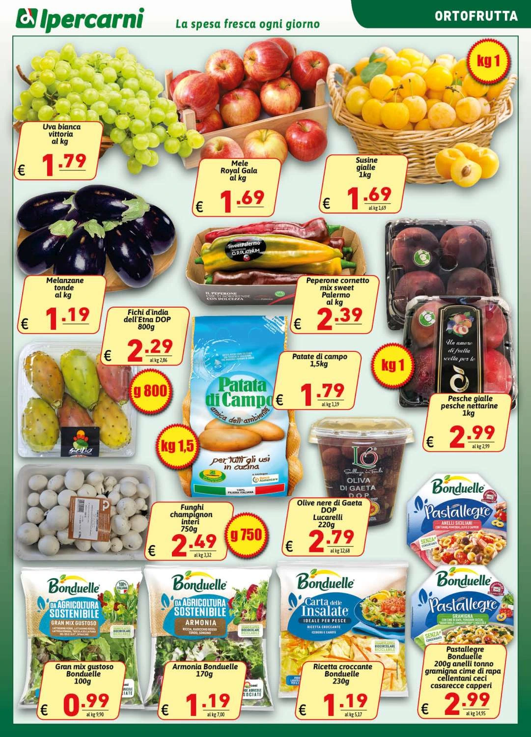 Flyer page 5