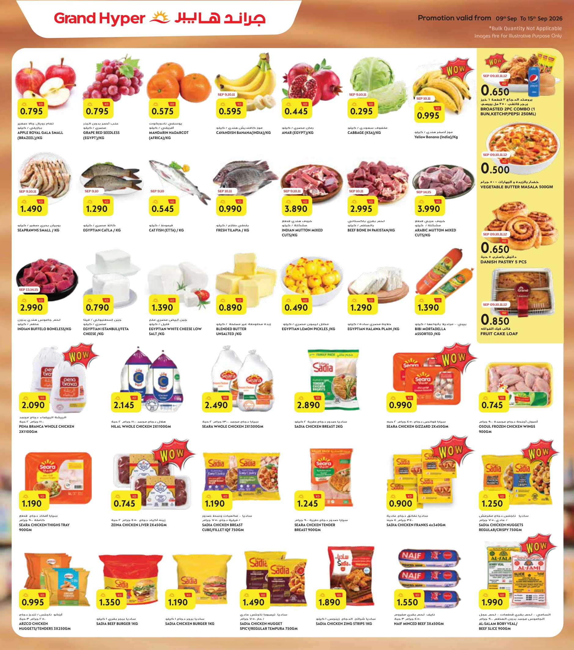Flyer page 2