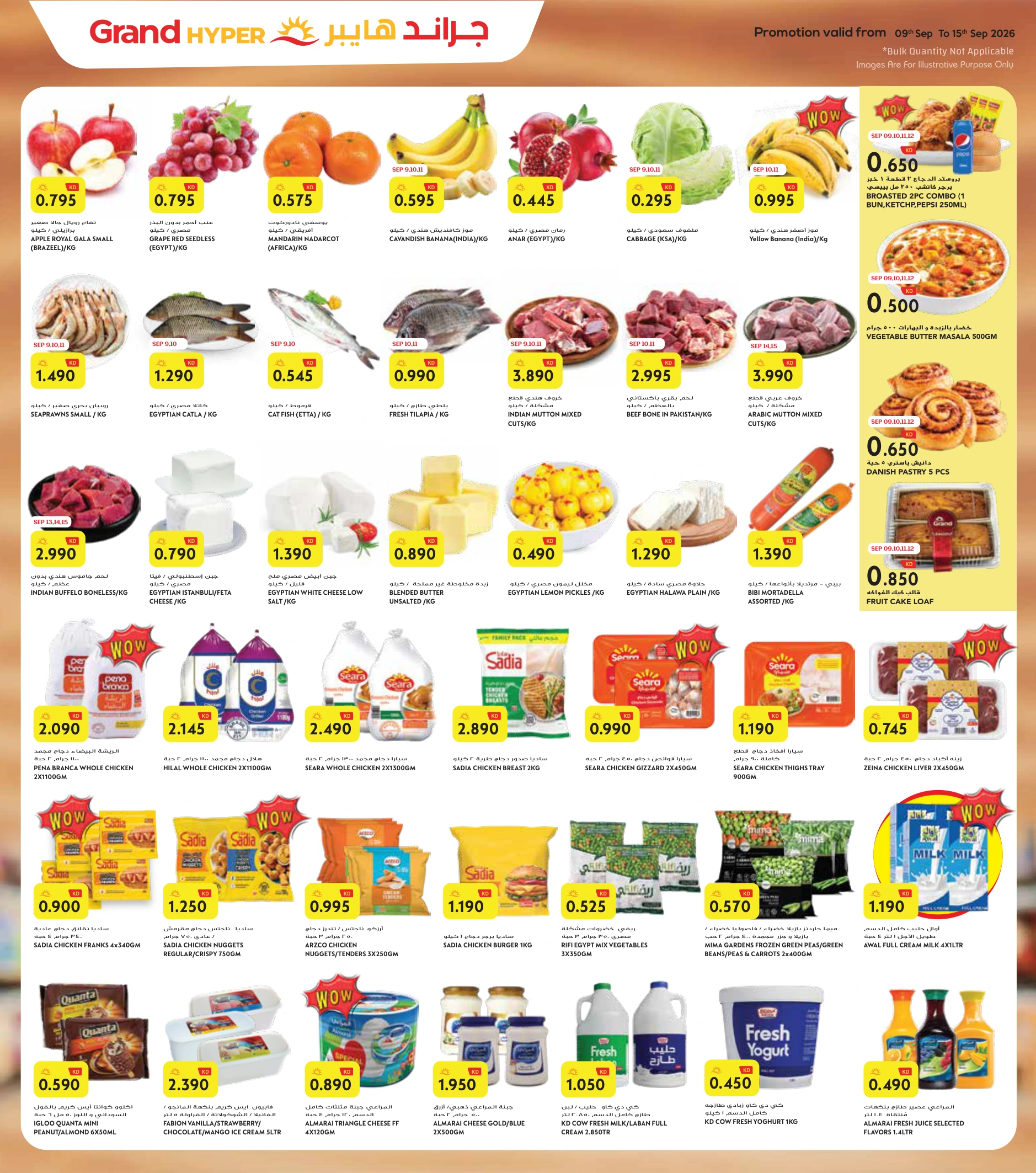 Flyer page 2