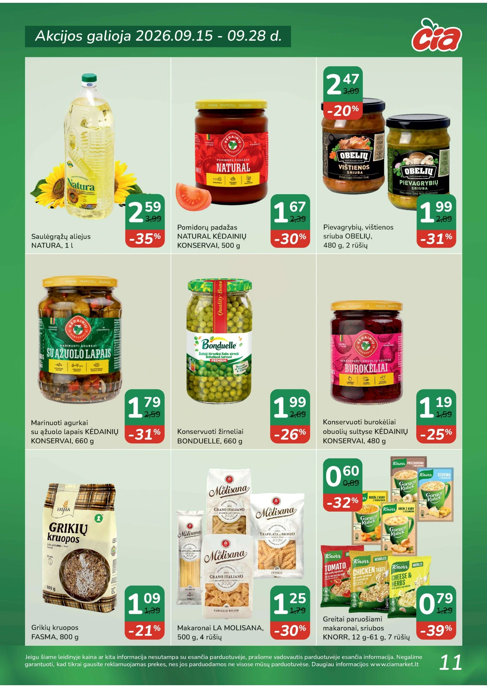 Flyer page 11