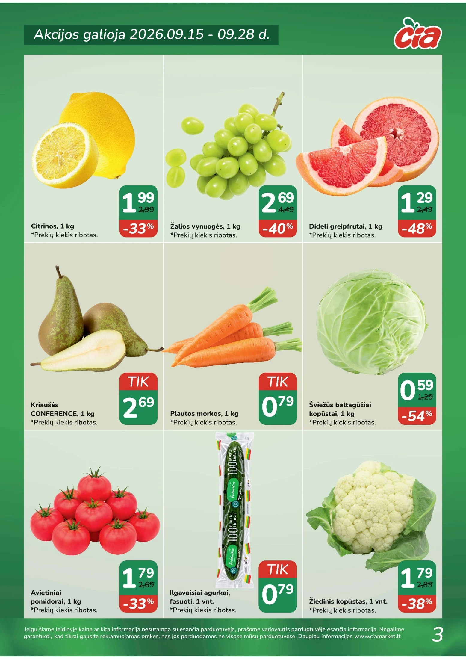 Flyer page 3