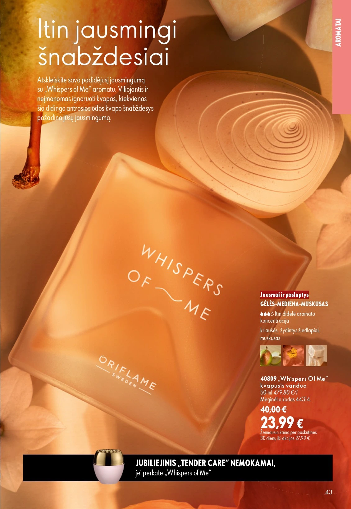 Flyer page 43