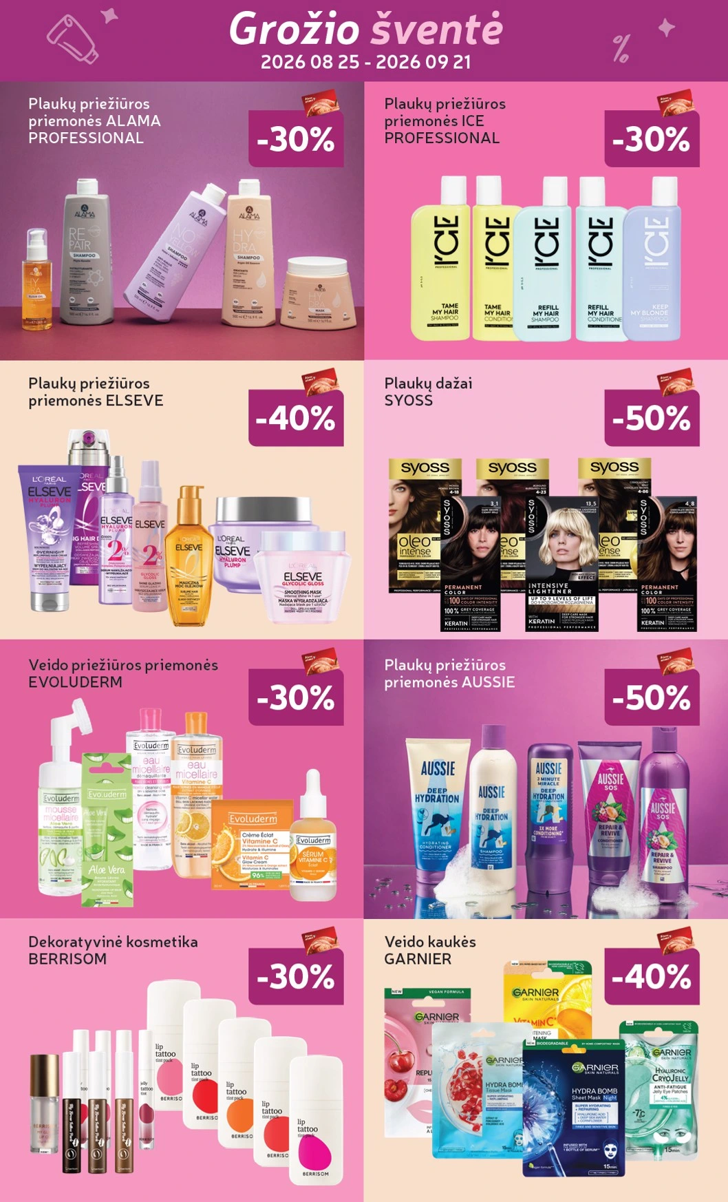 Flyer page 2