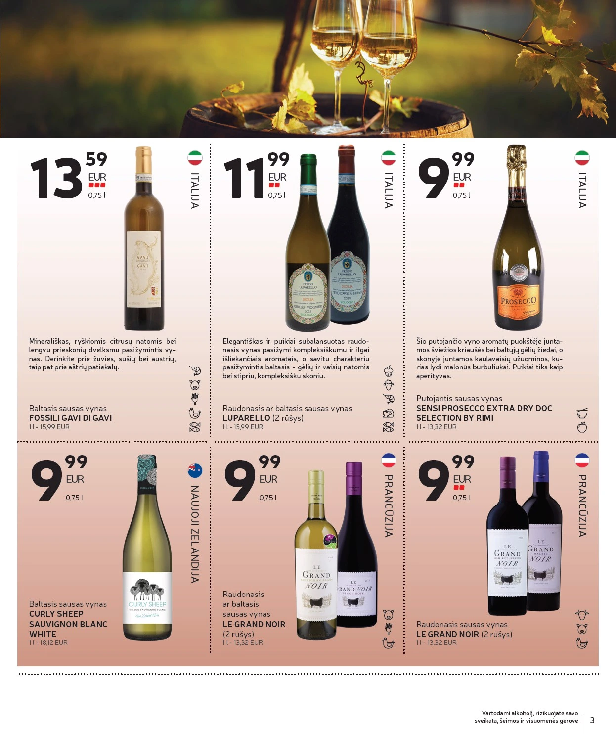 Flyer page 3