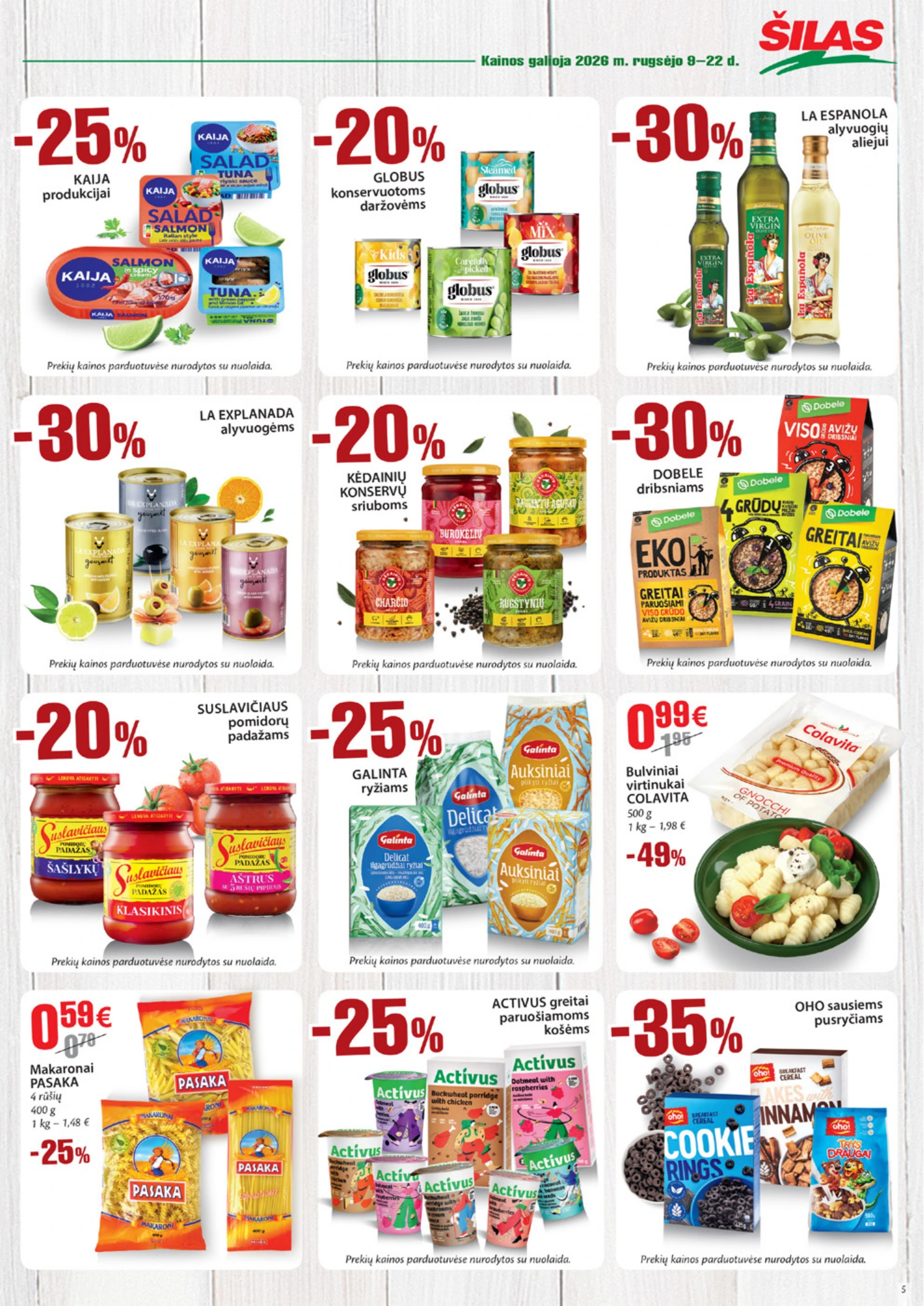 Flyer page 5