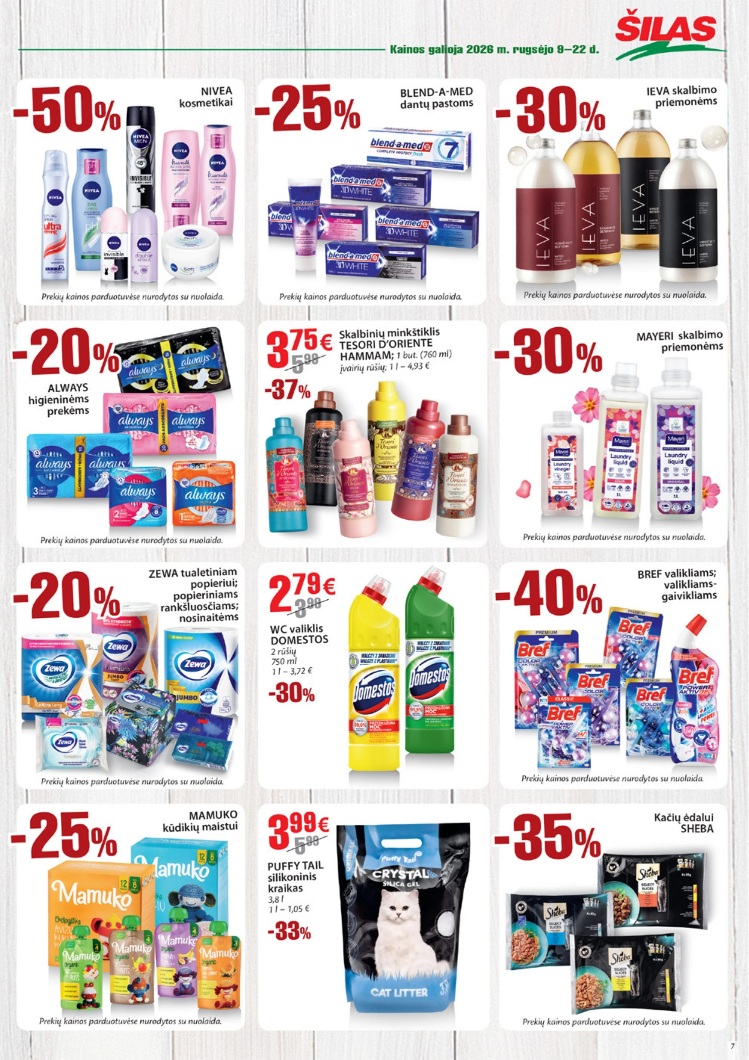 Flyer page 7