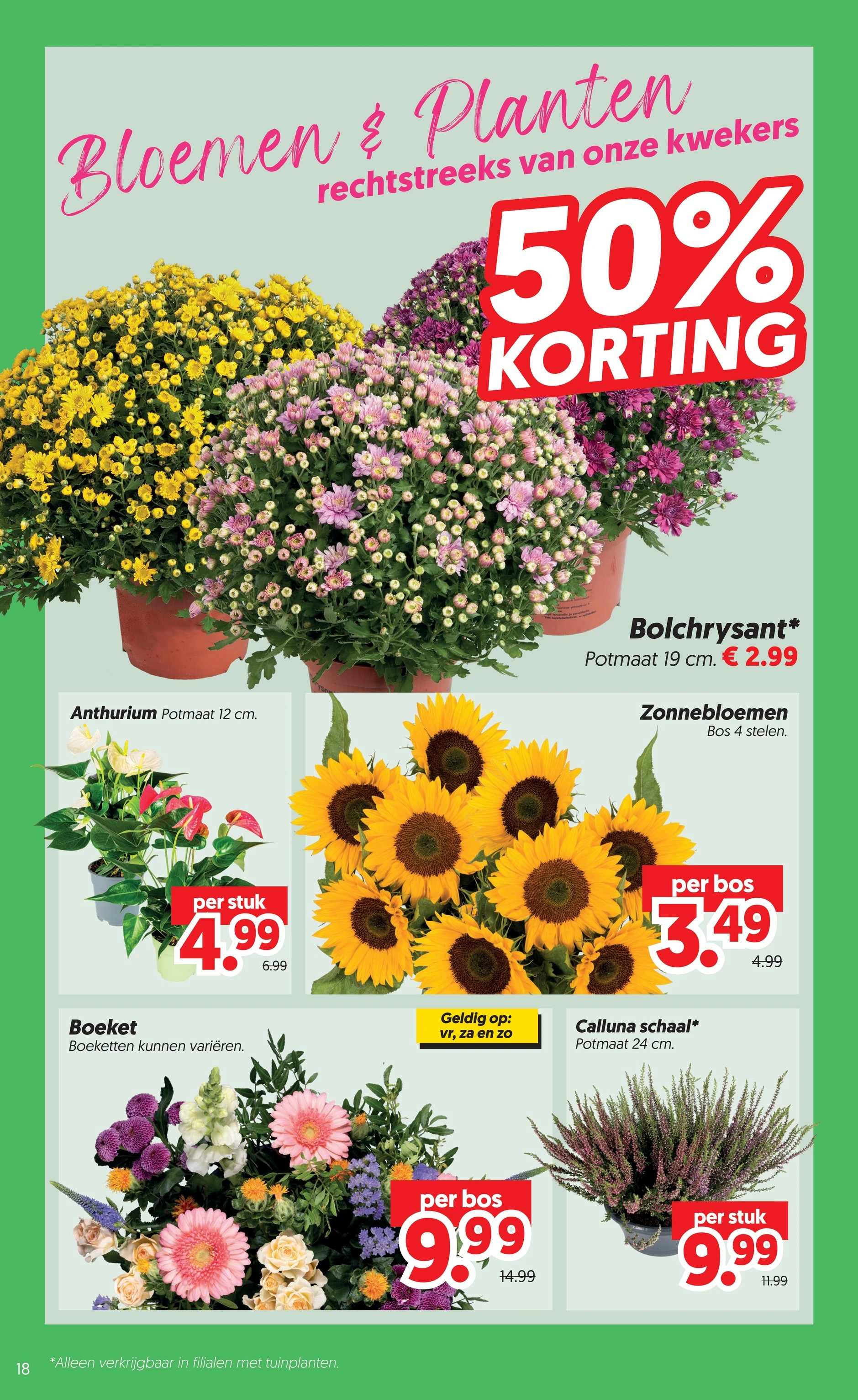 Flyer page 20