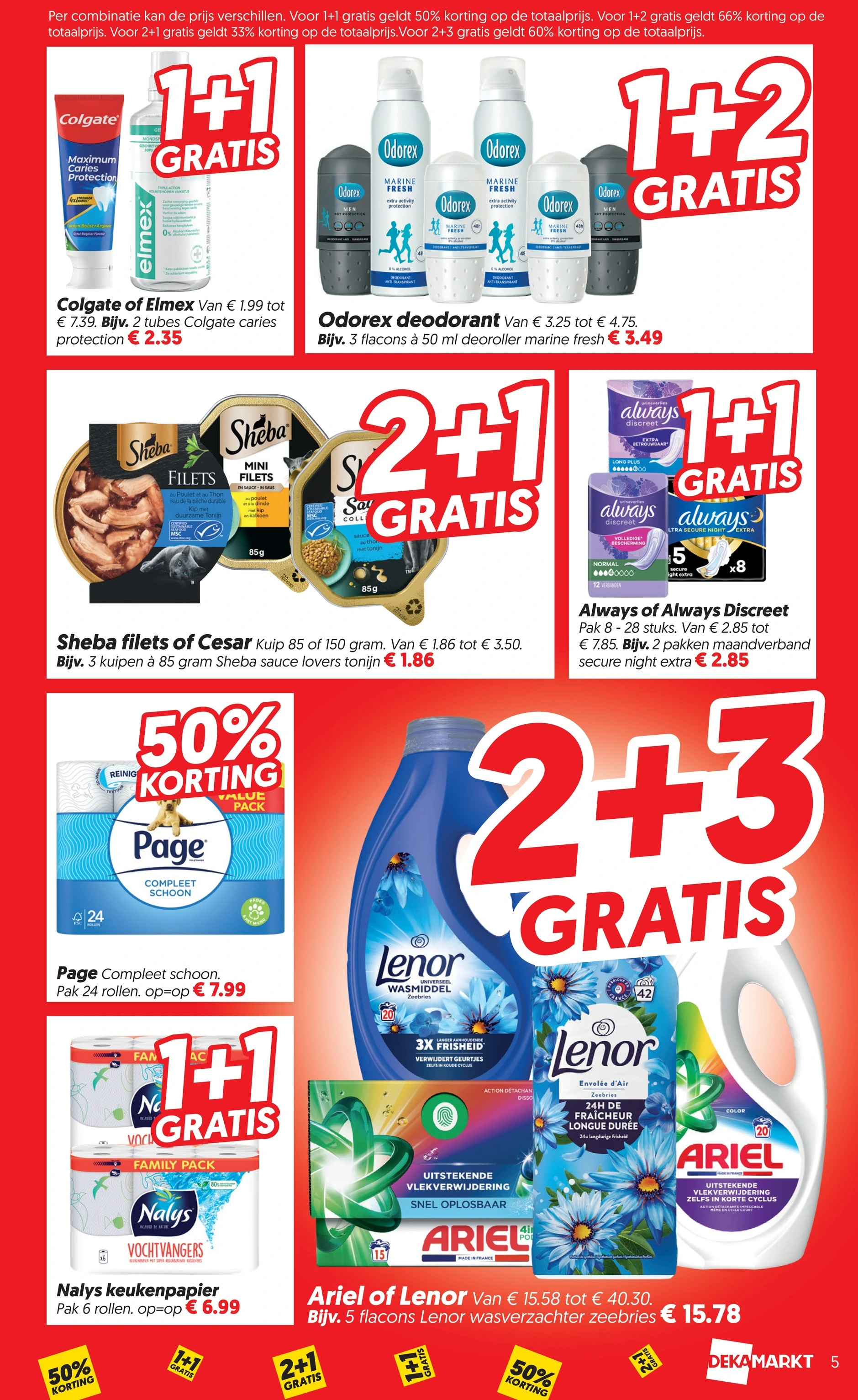 Flyer page 5