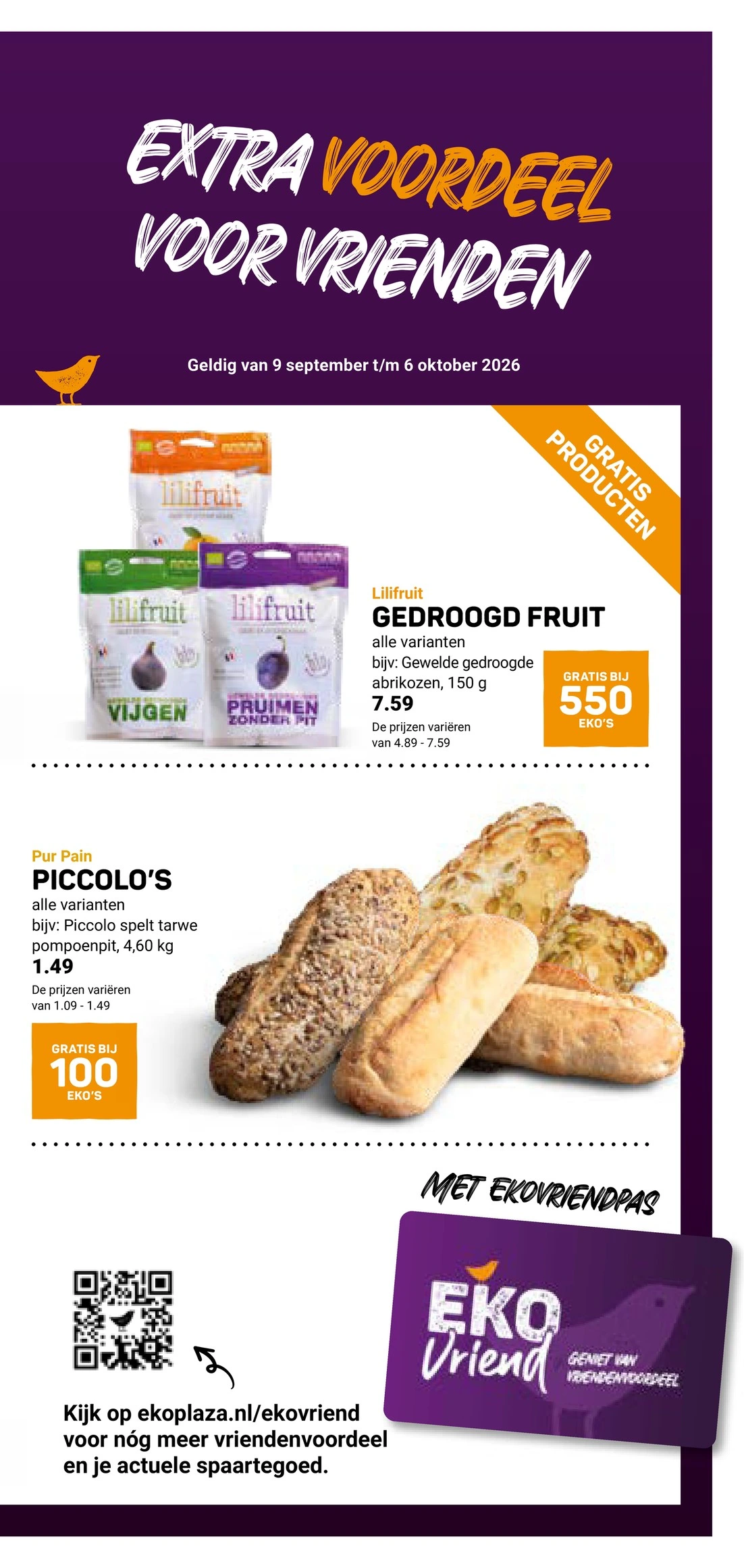 Flyer page 19
