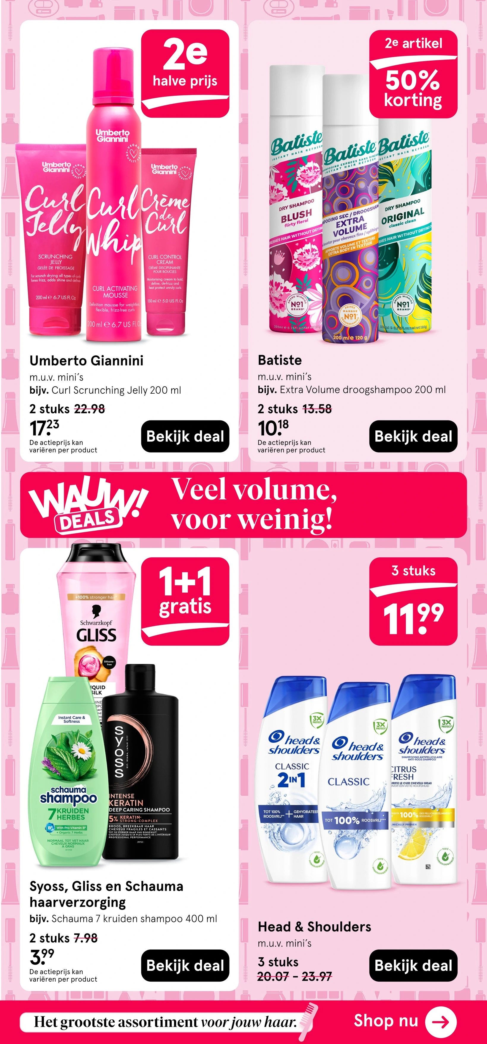 Flyer page 11