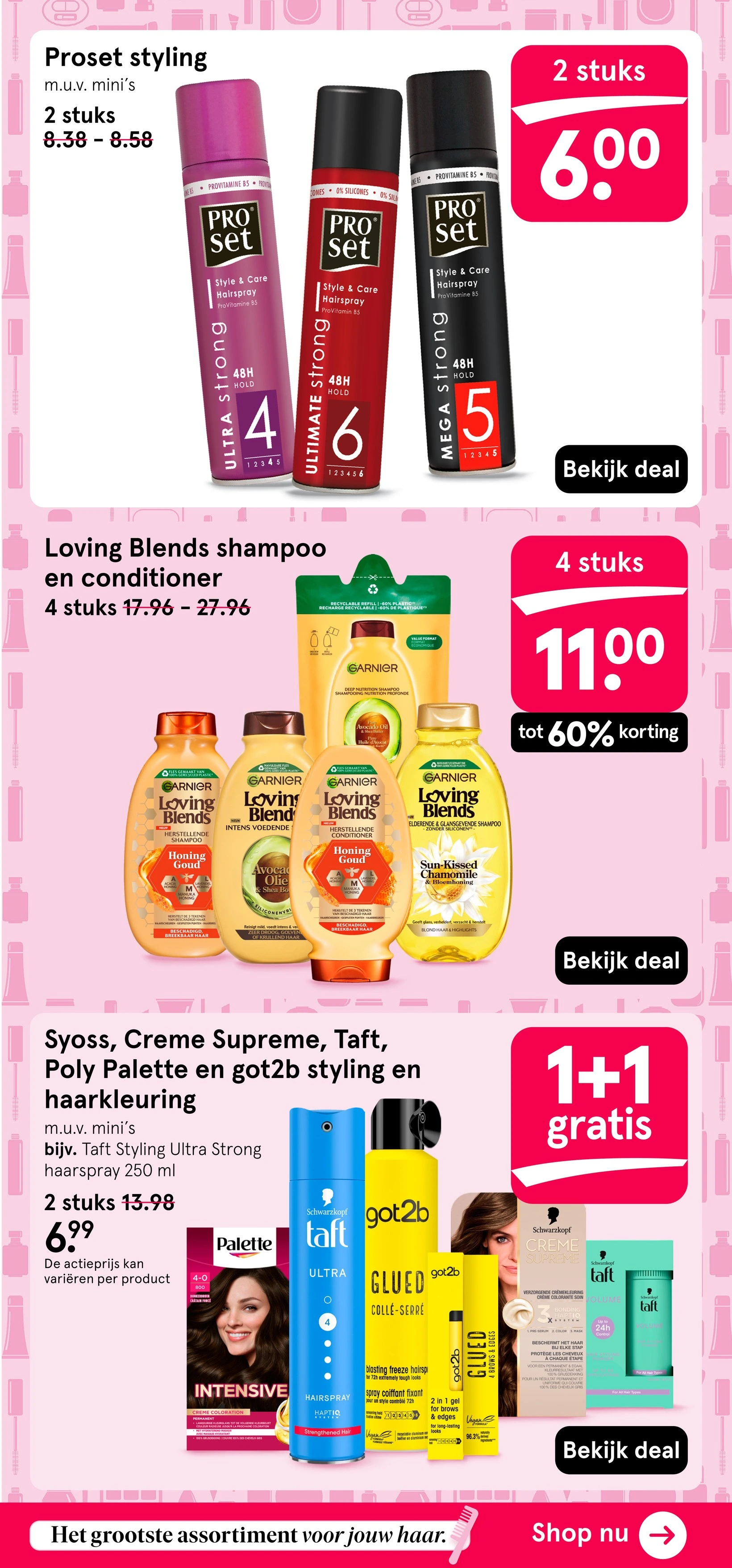 Flyer page 13