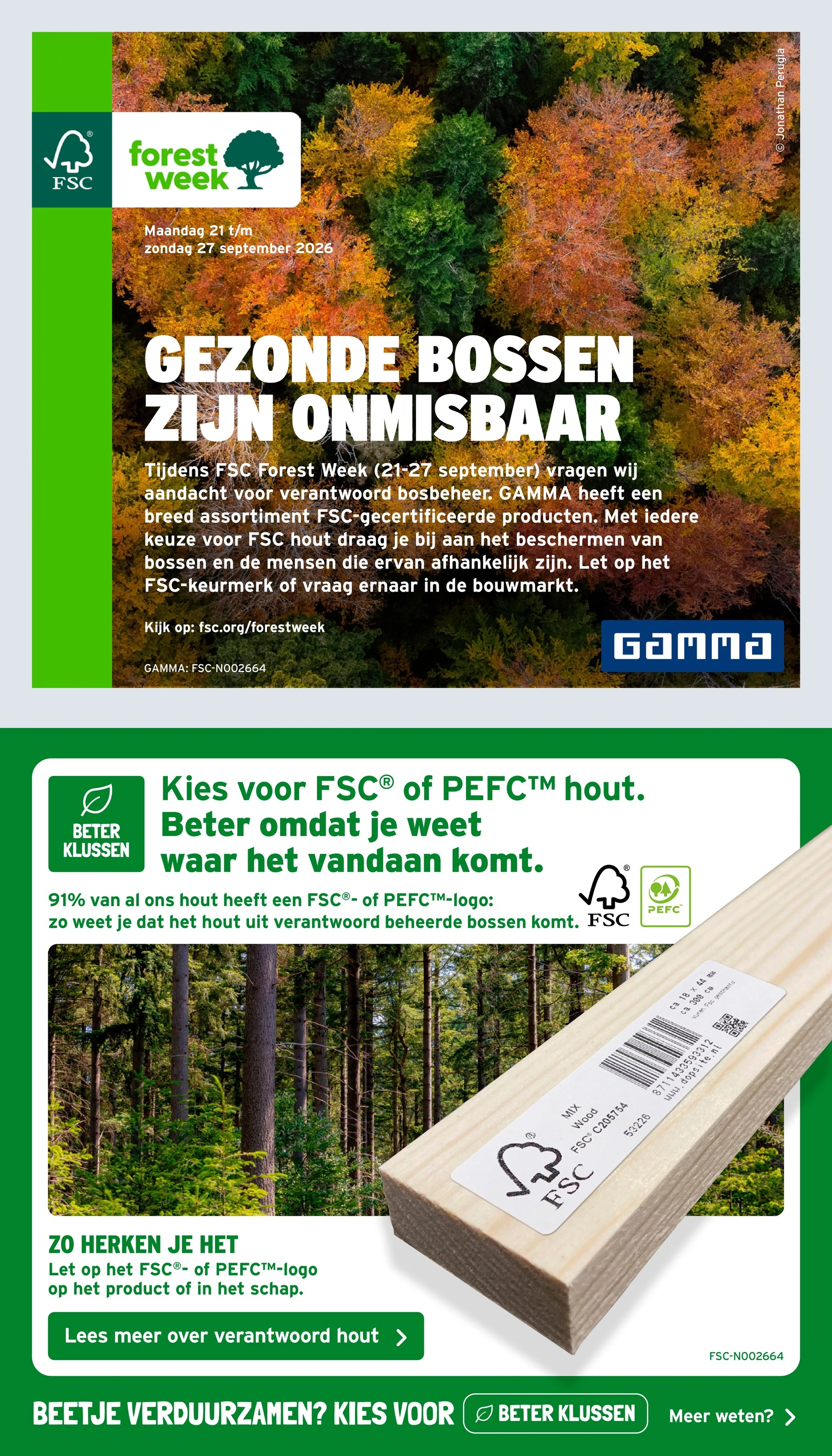 Flyer page 2