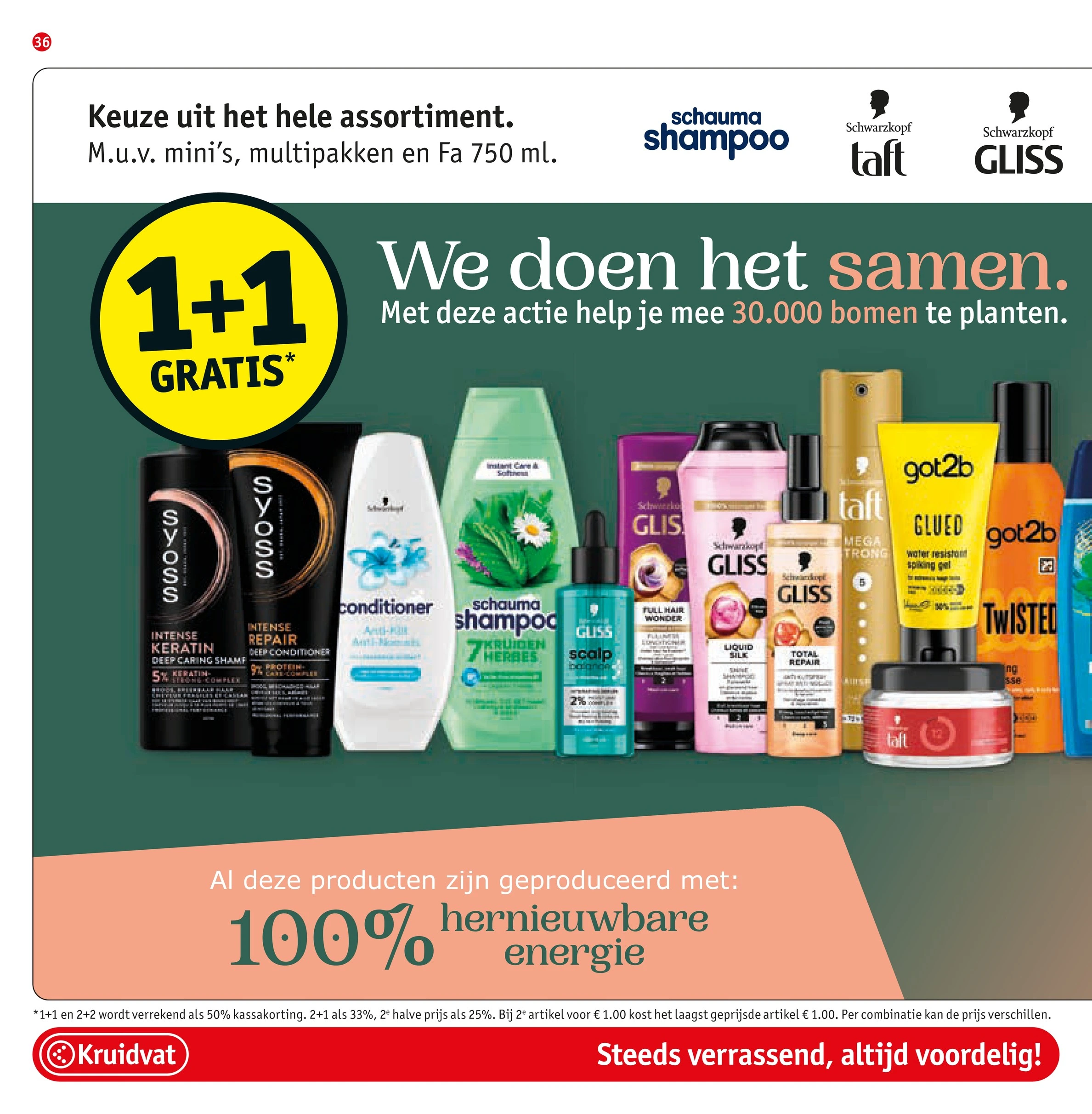 Flyer page 36