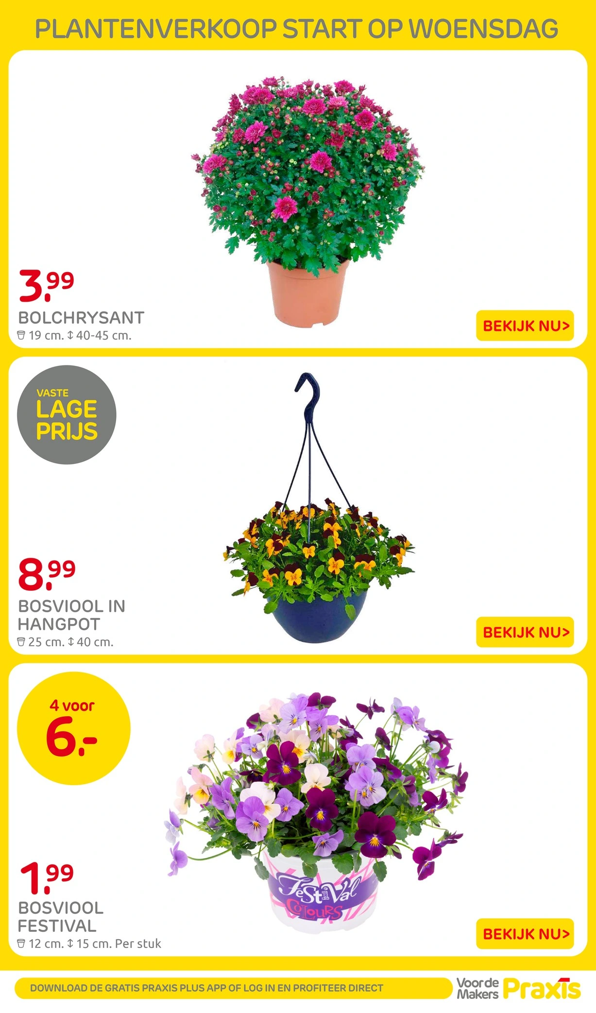 Flyer page 38