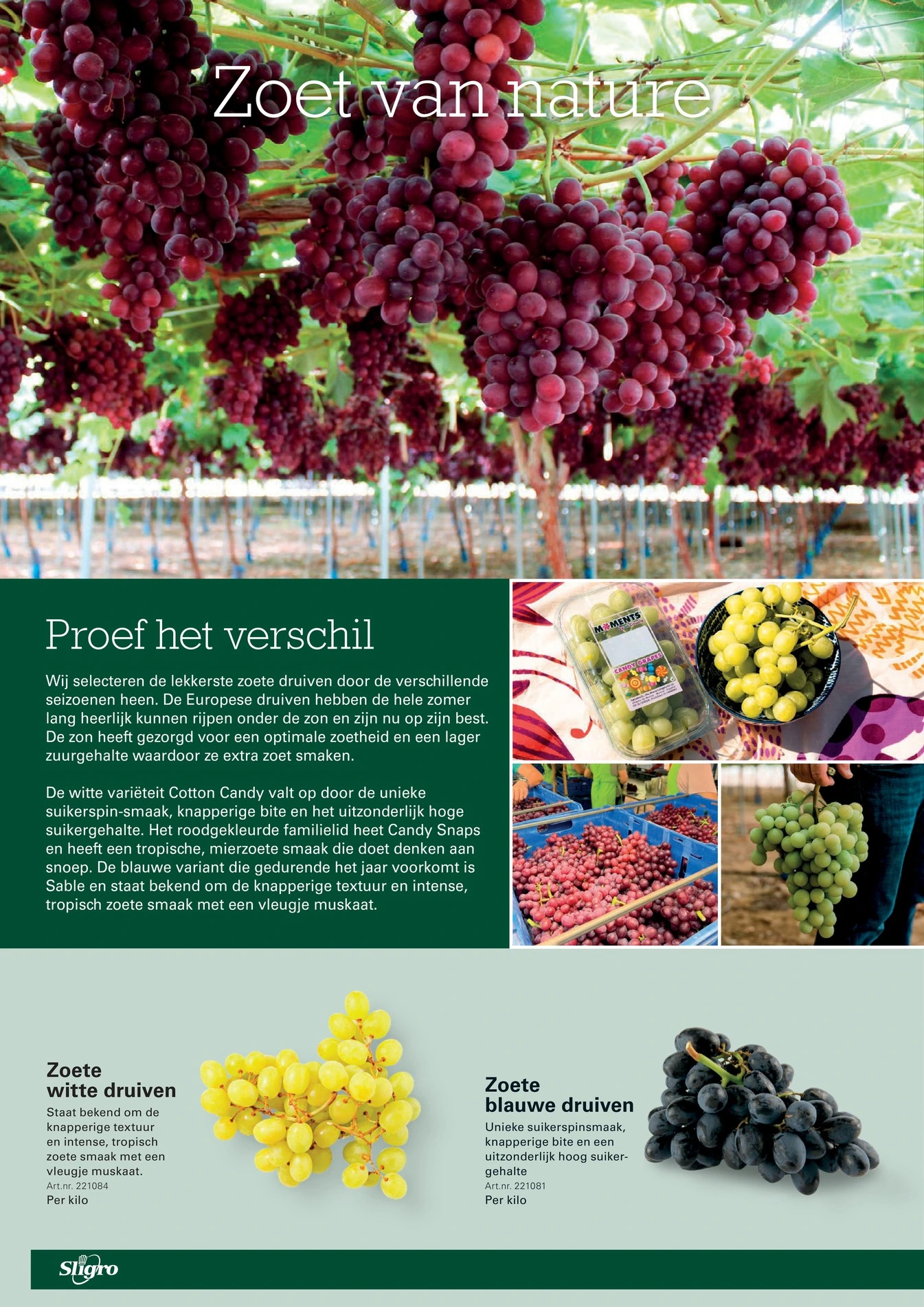 Flyer page 4