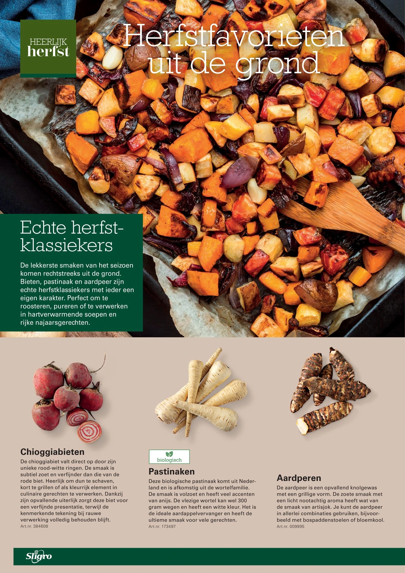 Flyer page 20