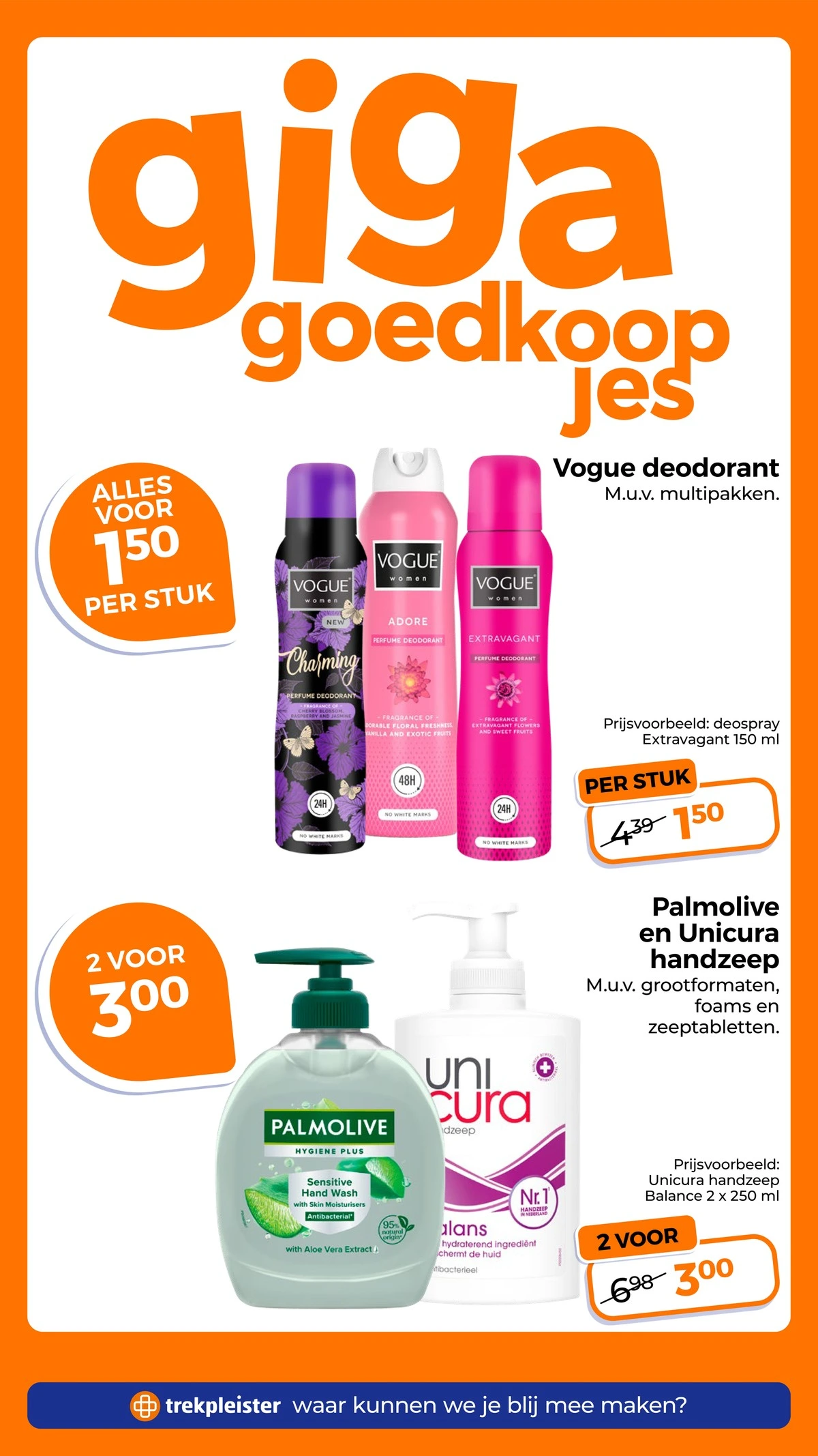 Flyer page 23