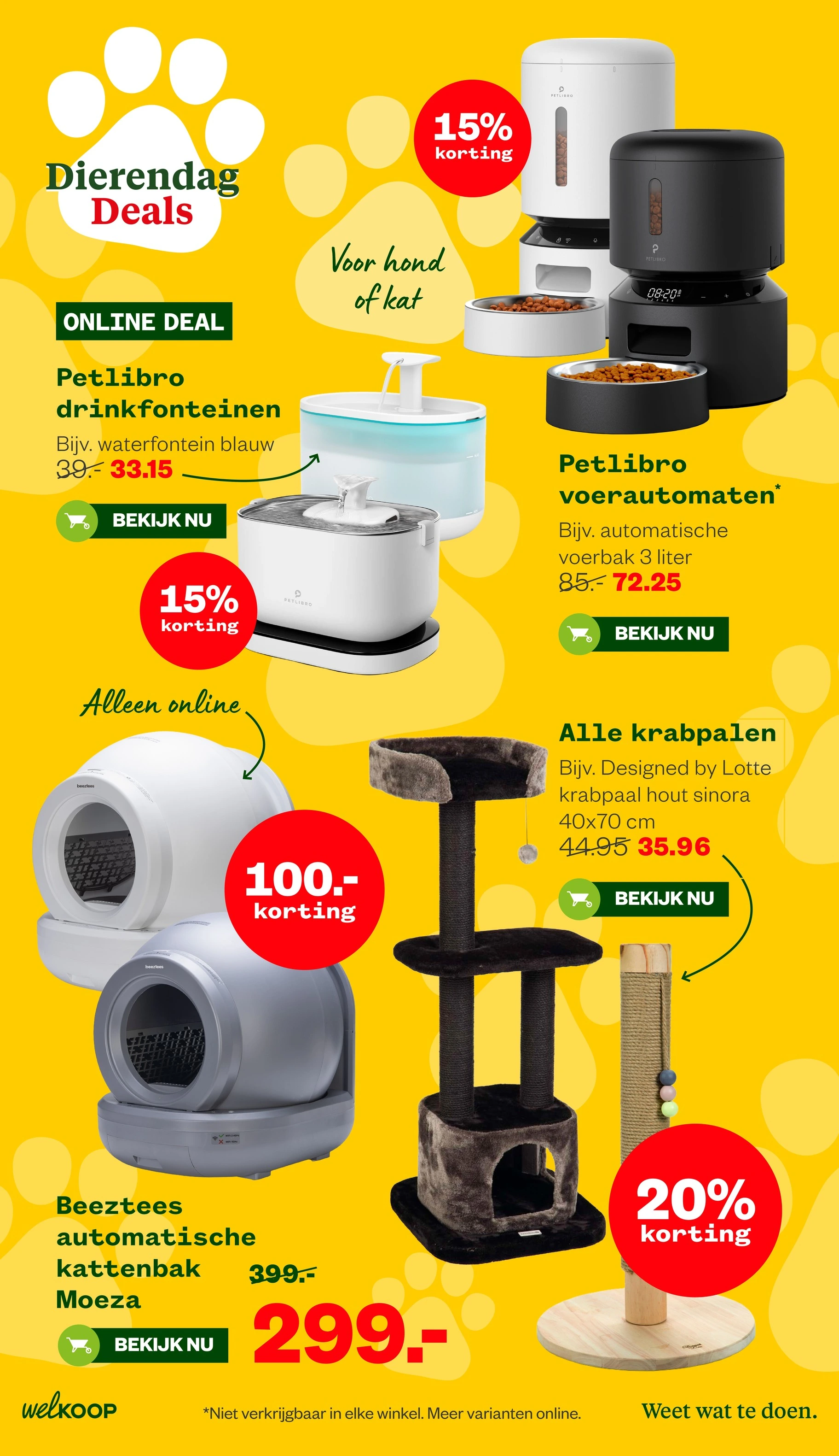 Flyer page 11