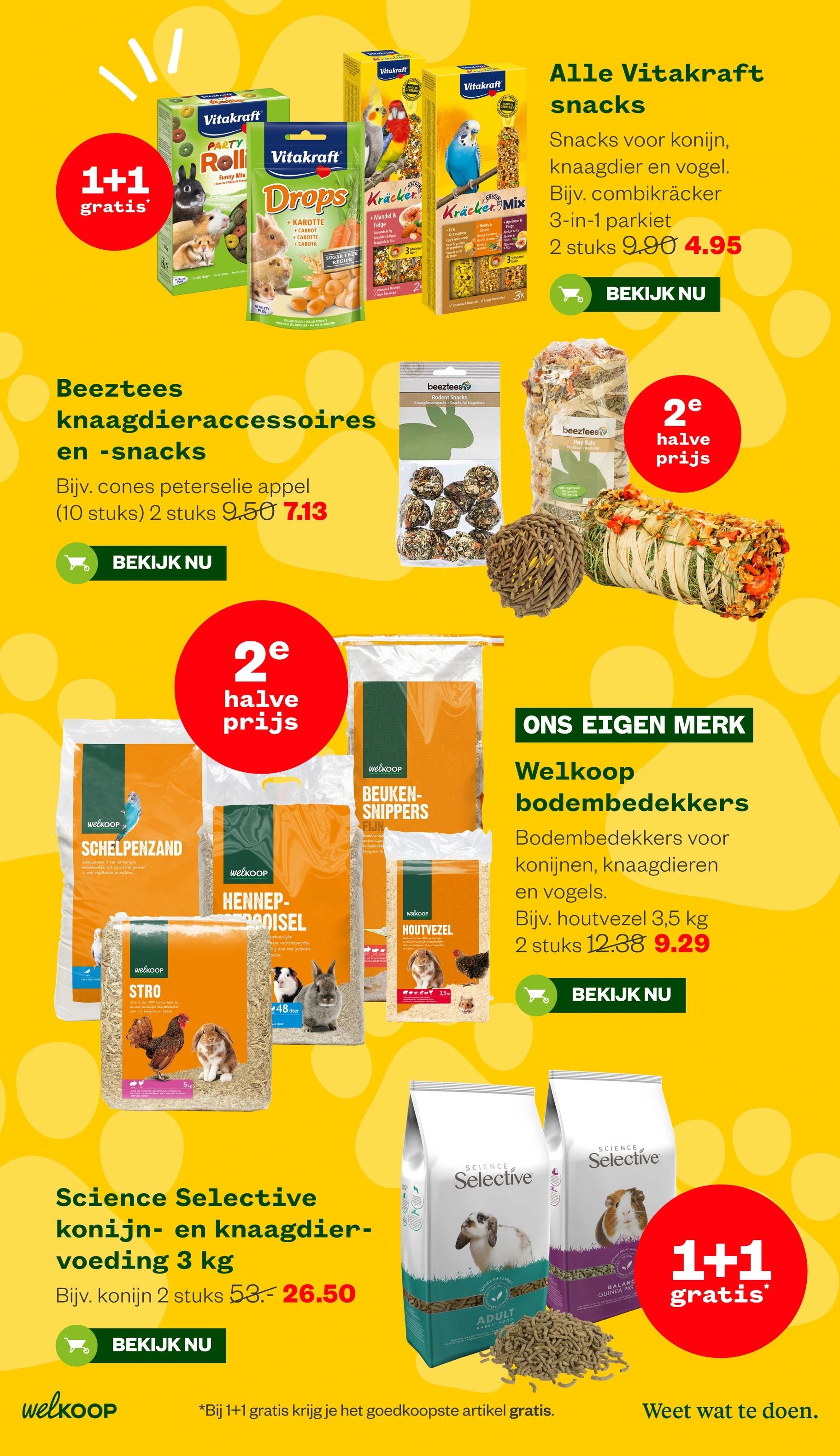 Flyer page 12