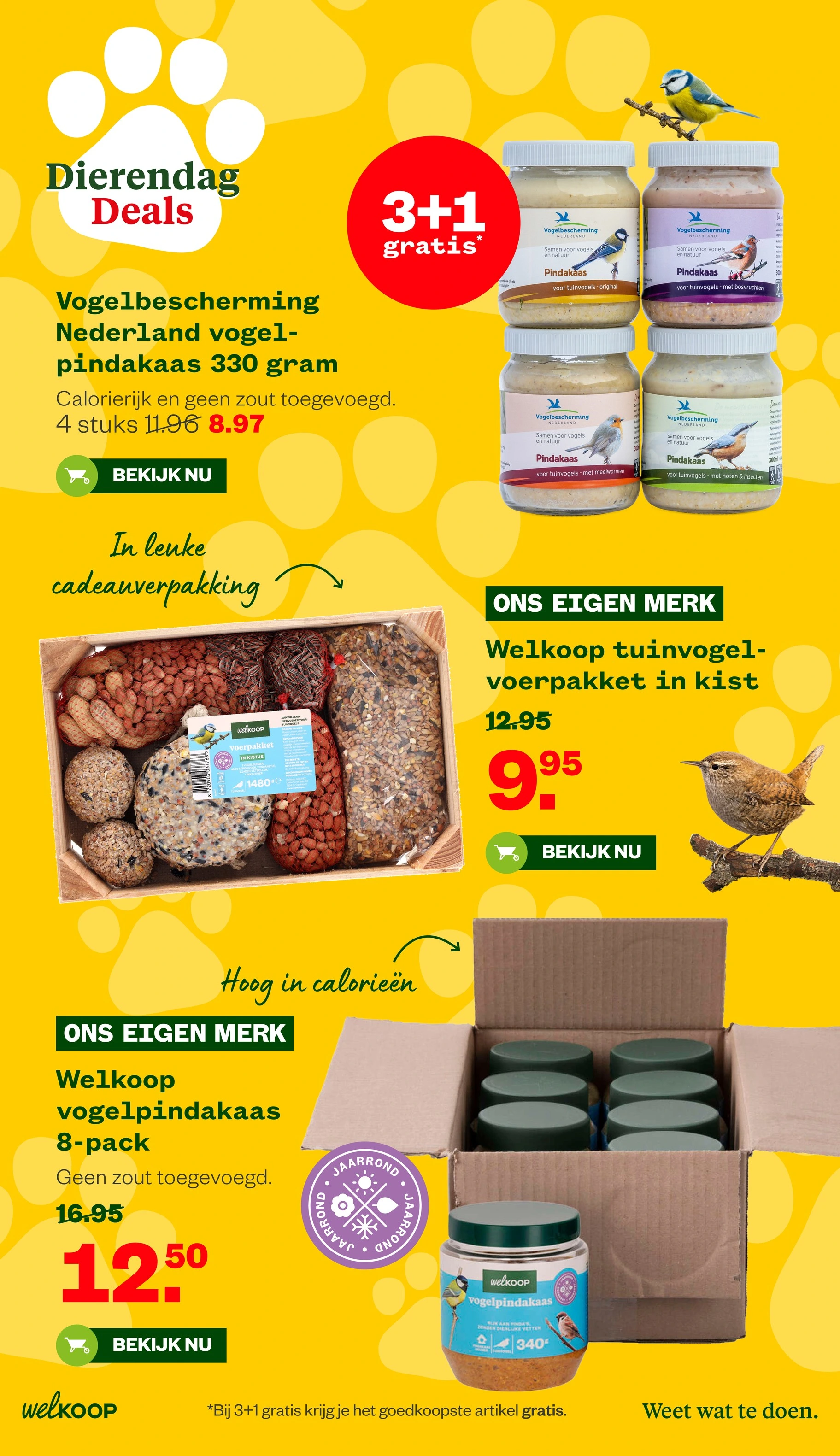 Flyer page 13