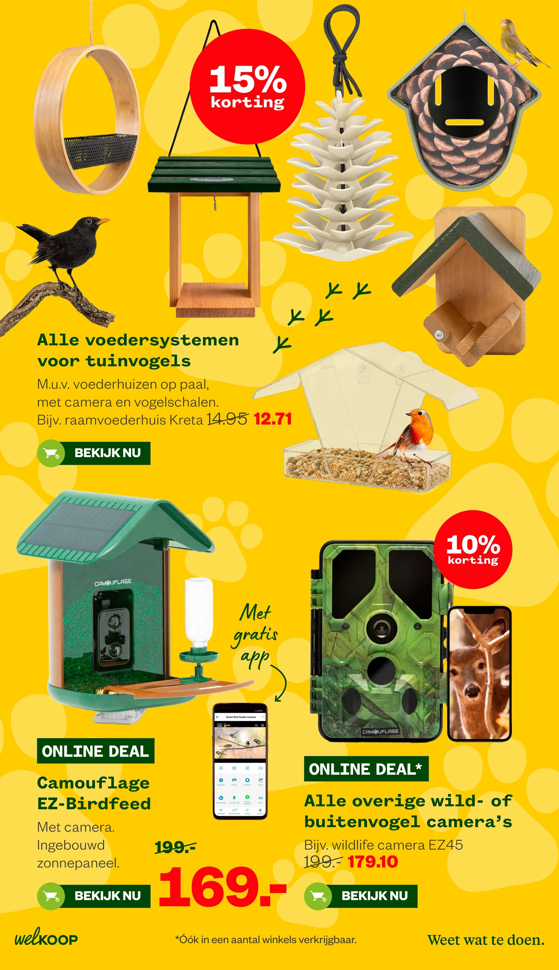 Flyer page 14