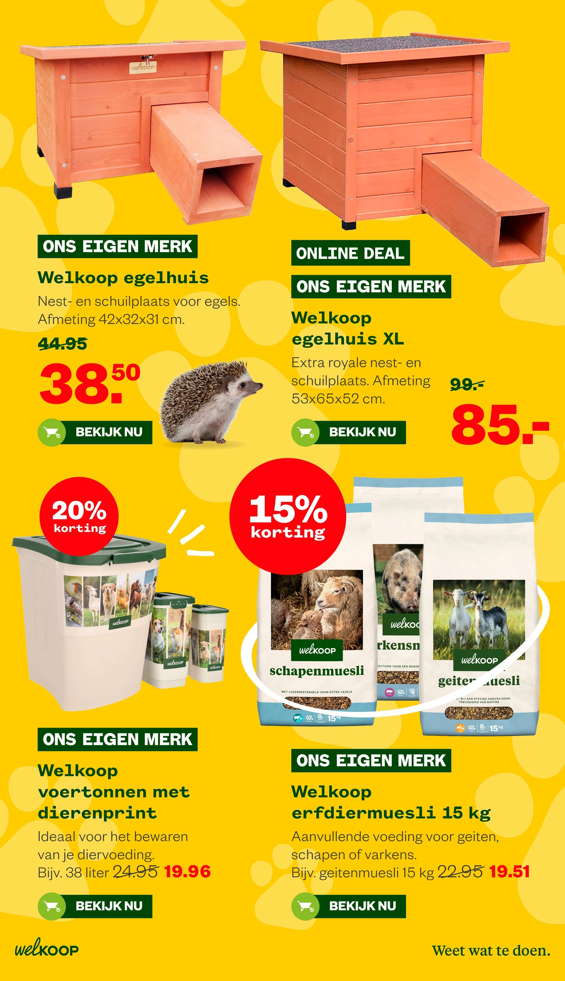 Flyer page 15