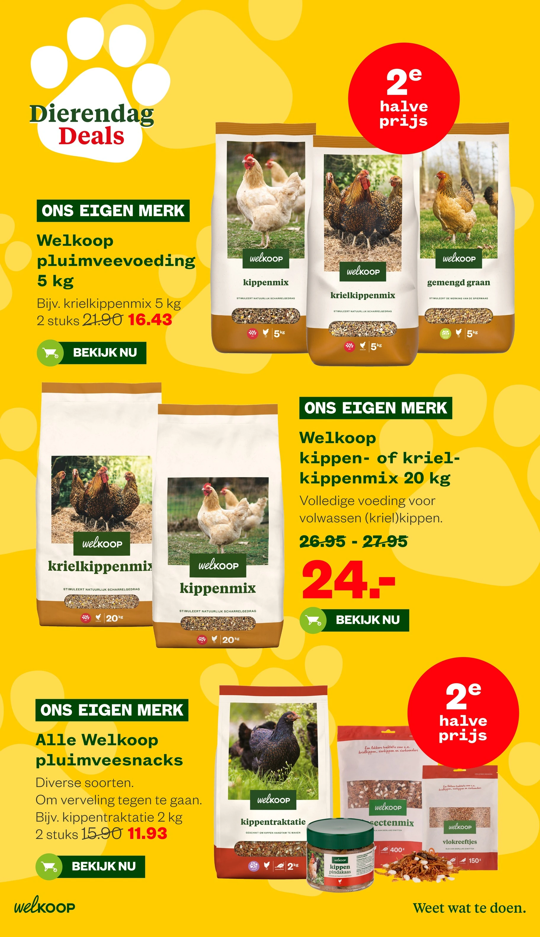 Flyer page 16