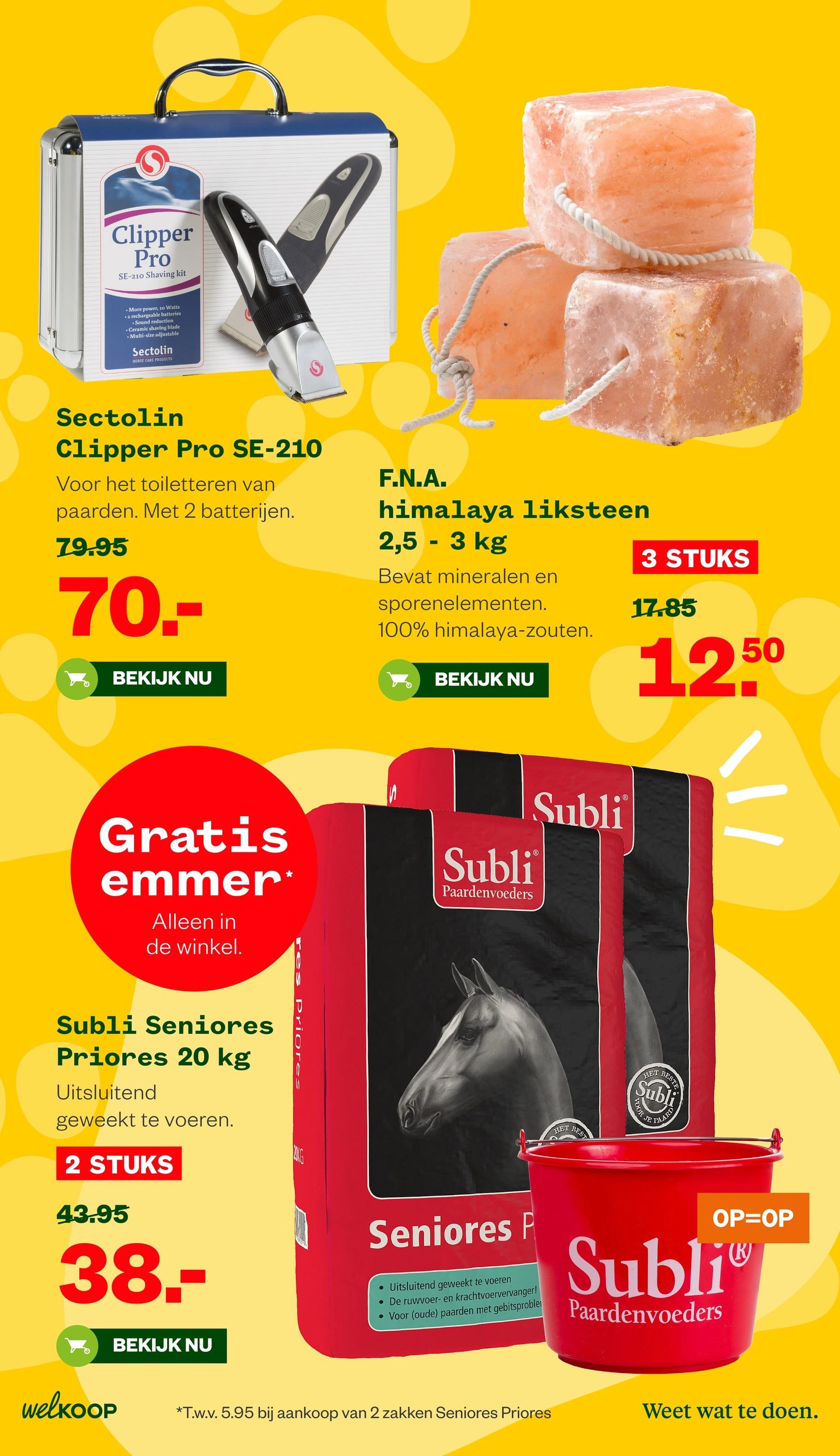 Flyer page 18
