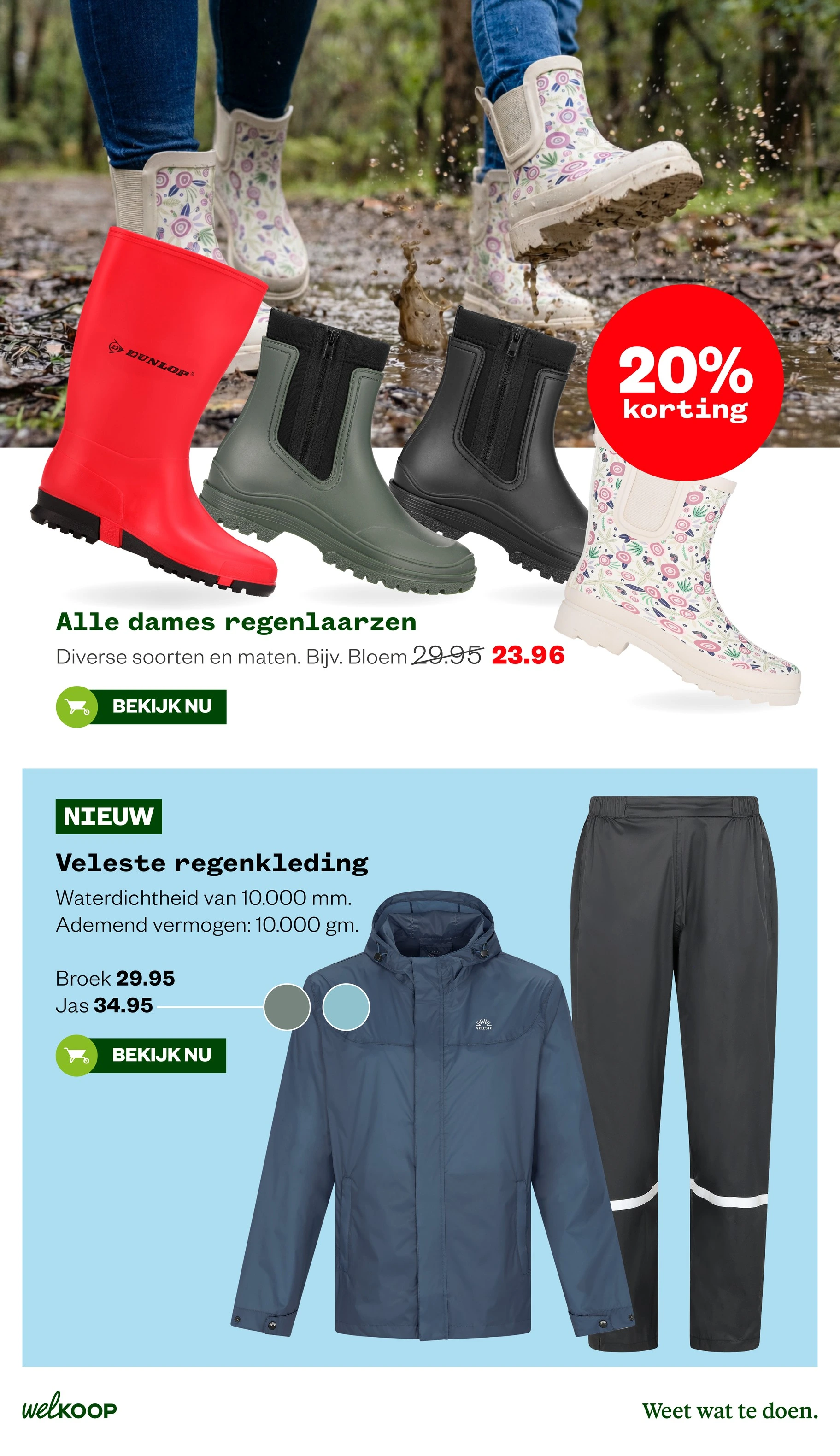 Flyer page 21