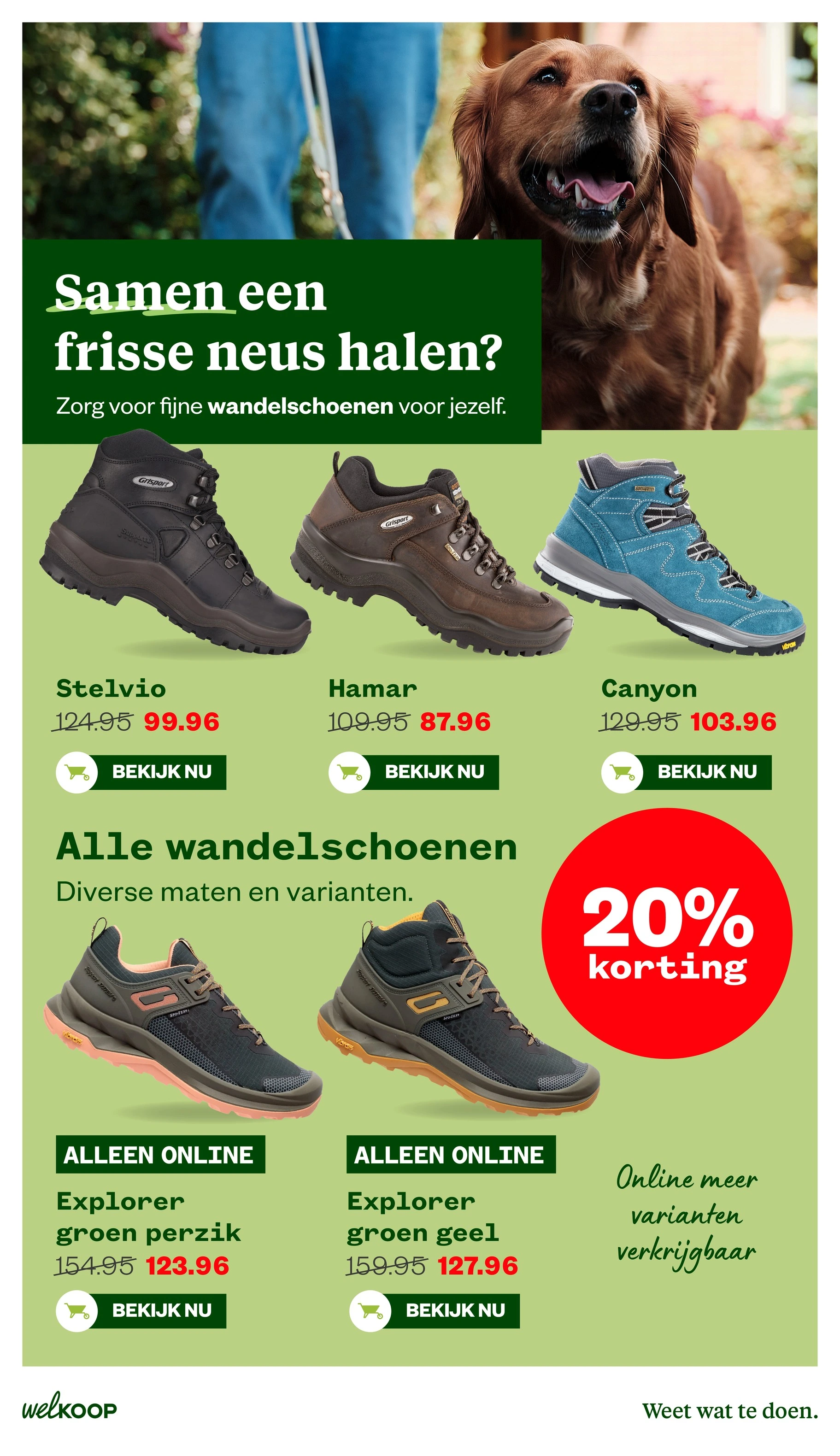 Flyer page 23