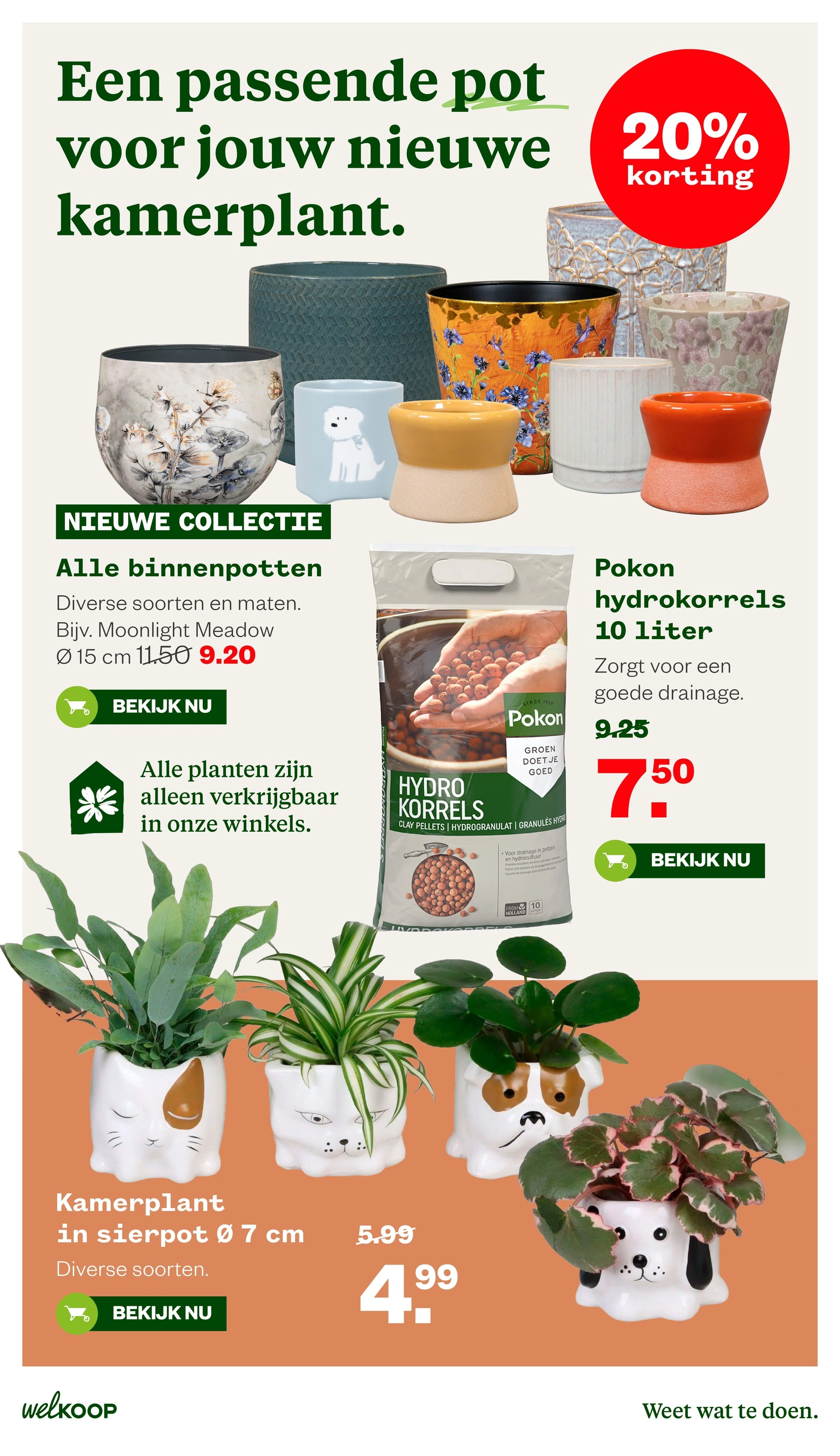 Flyer page 31