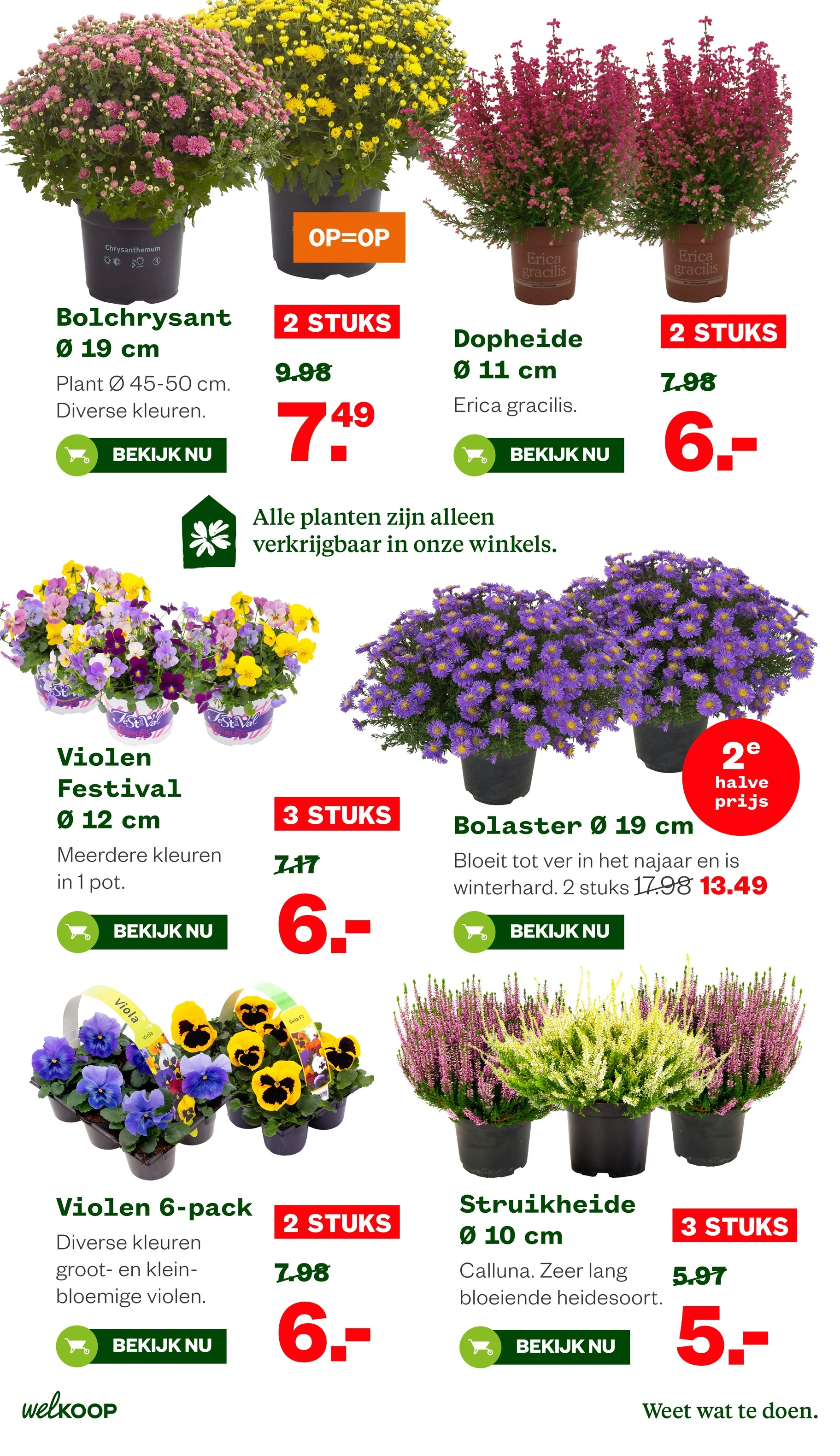 Flyer page 32