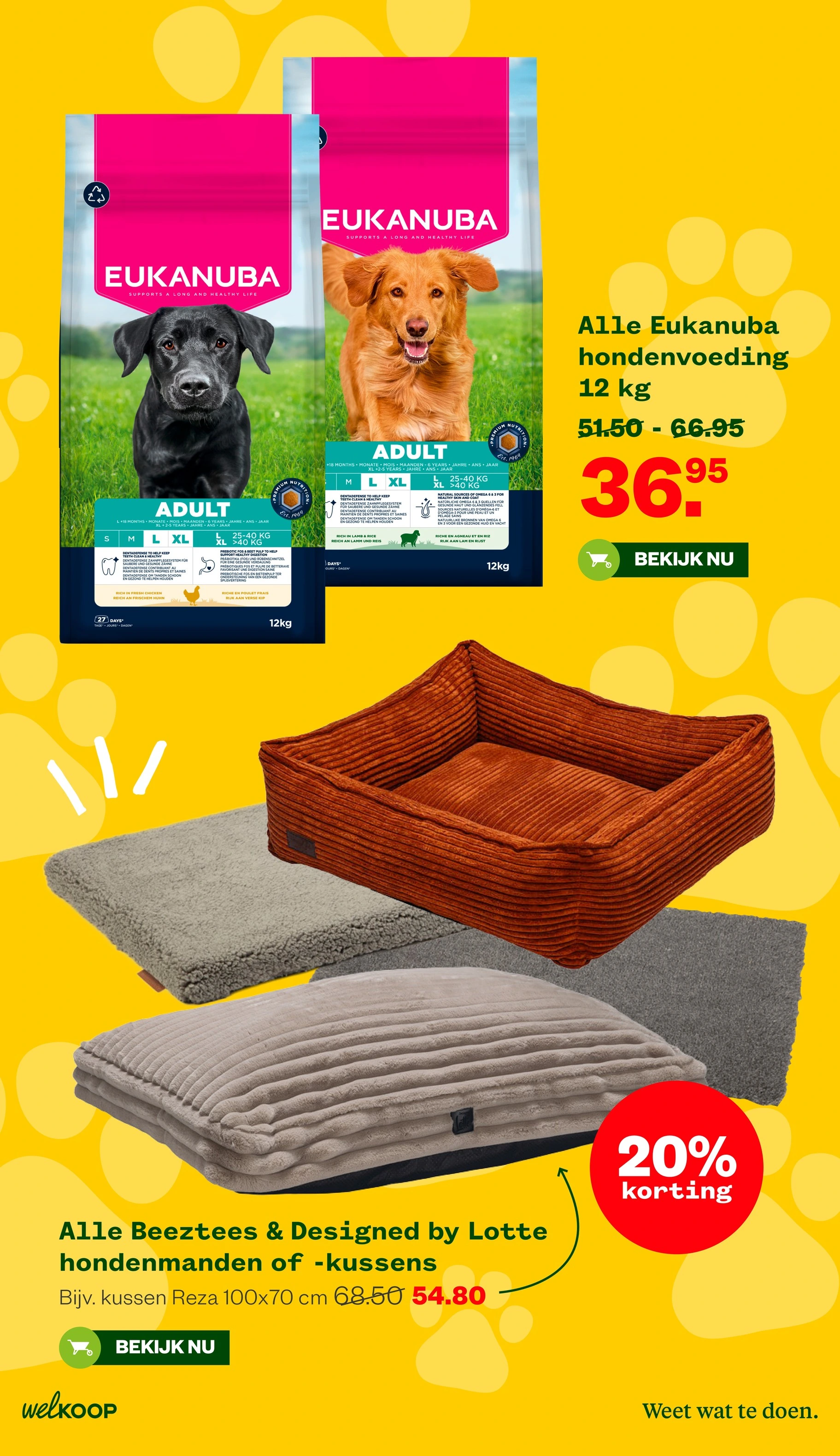 Flyer page 6