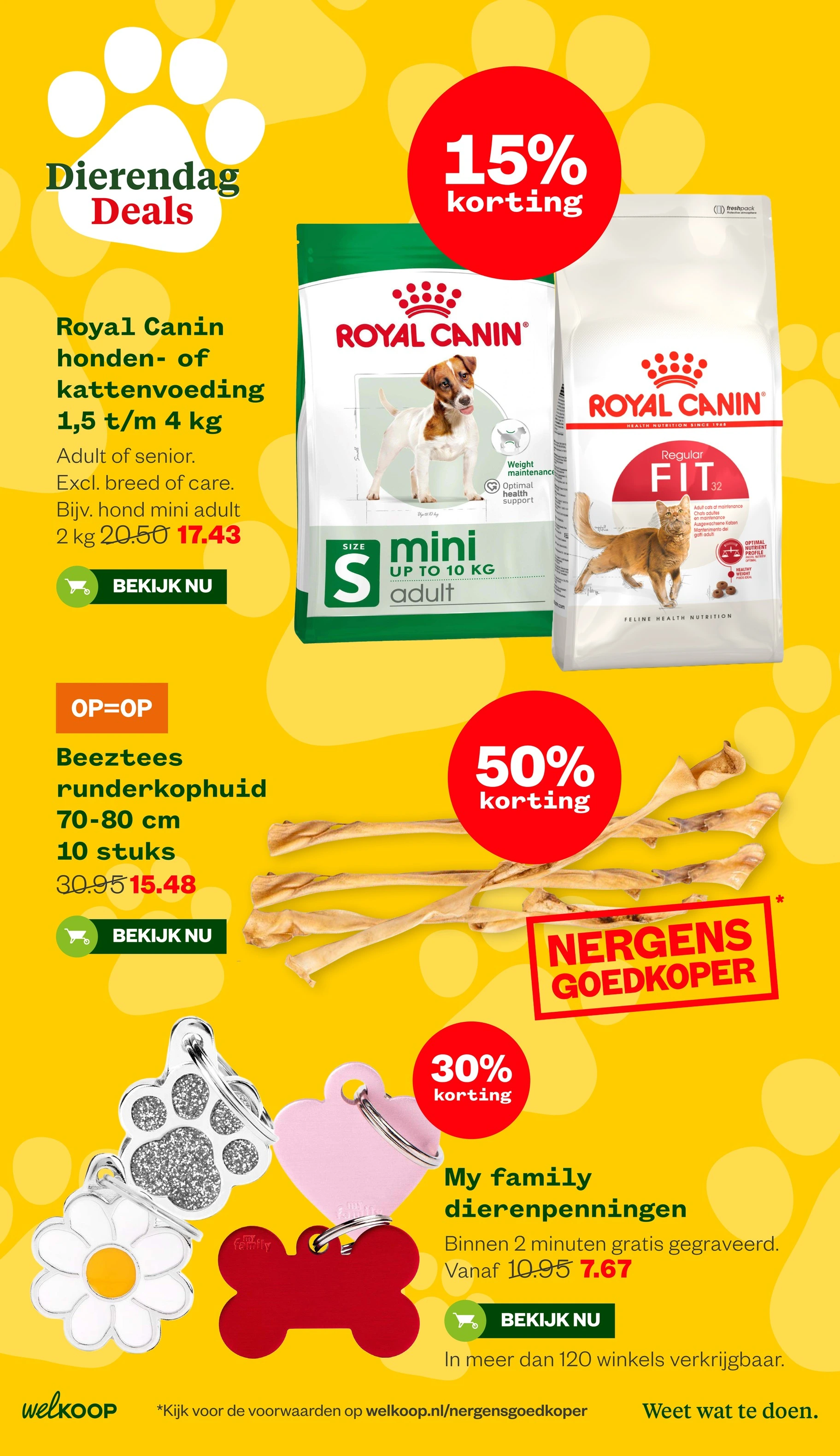 Flyer page 7