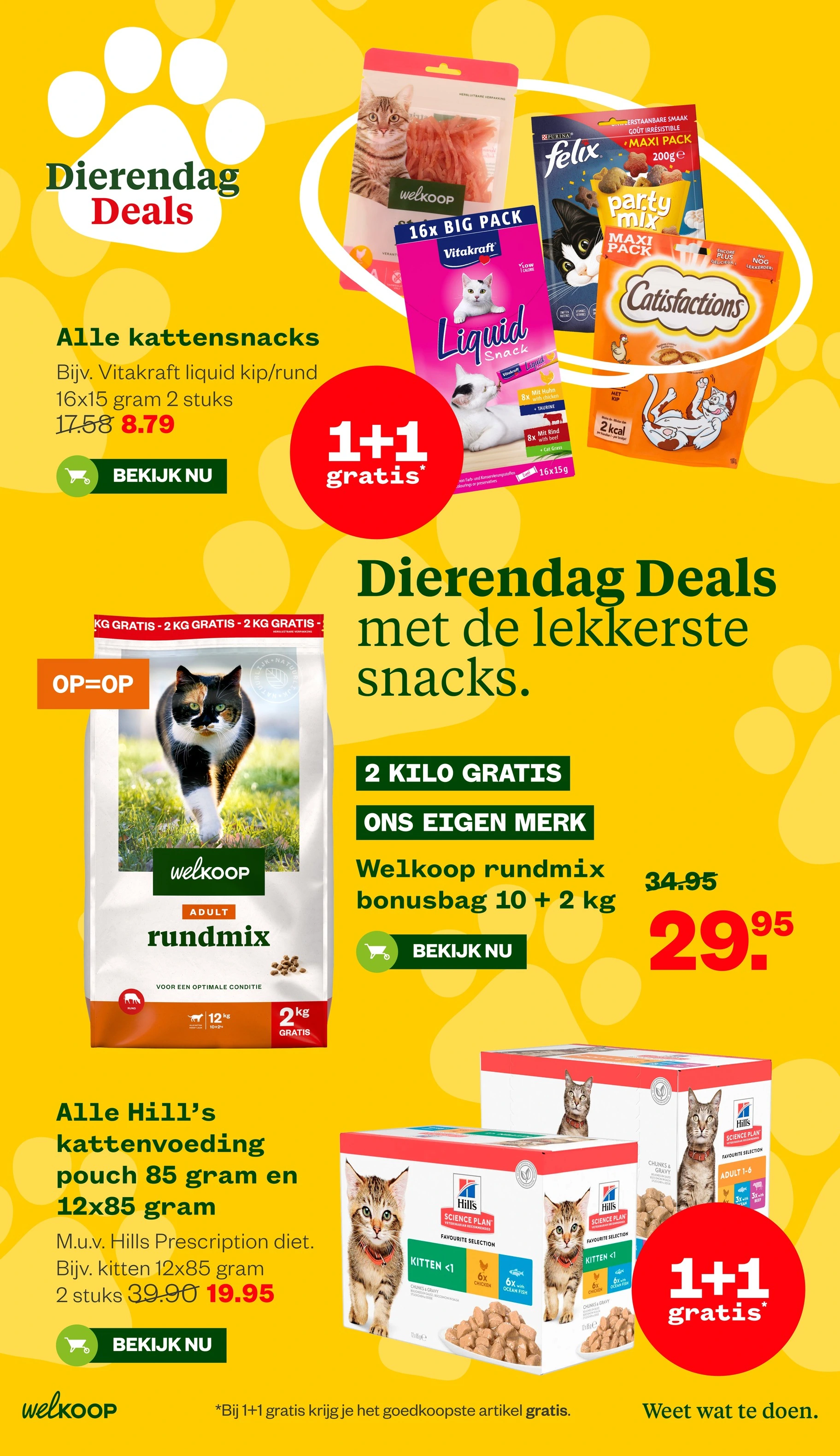 Flyer page 9