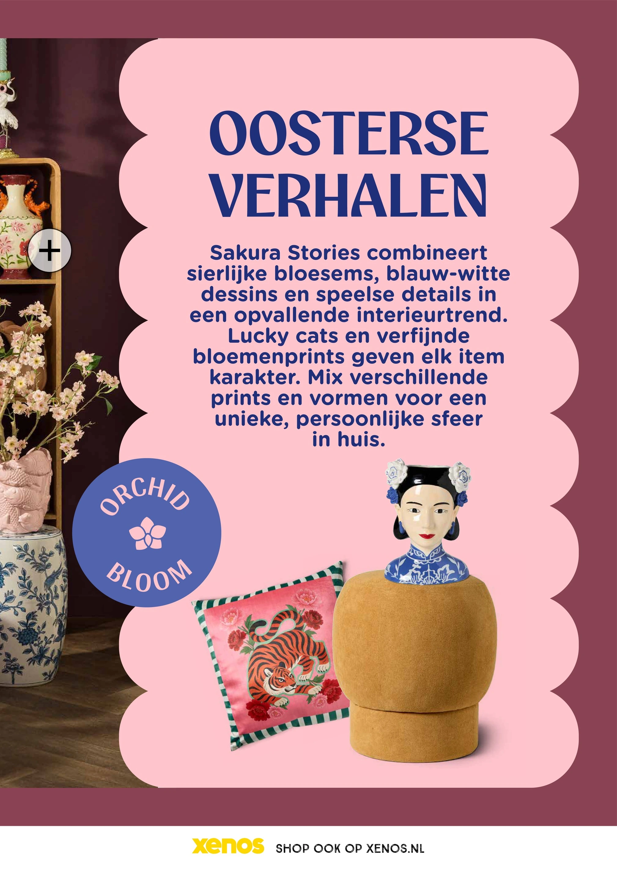 Flyer page 43