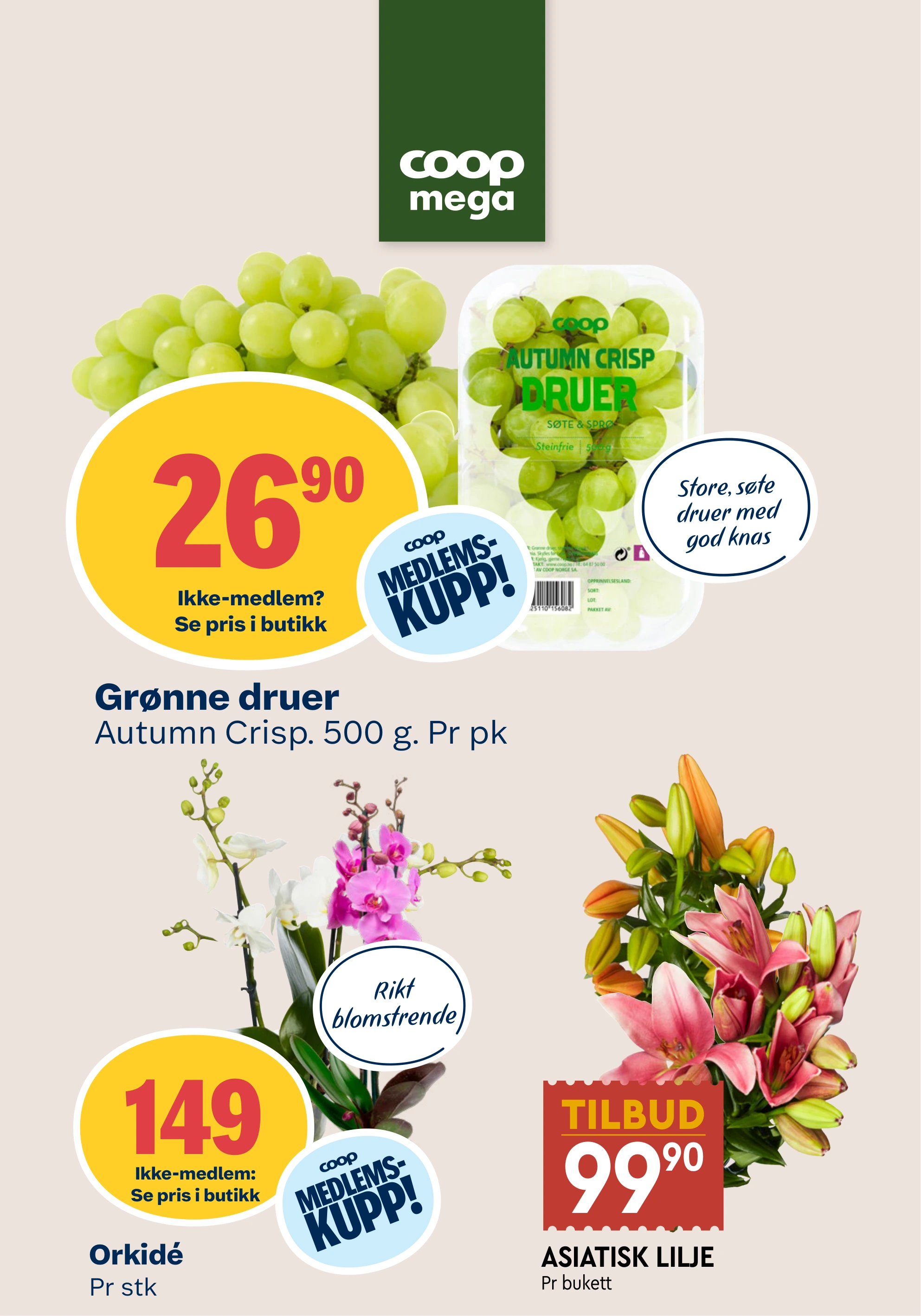 Flyer page 10