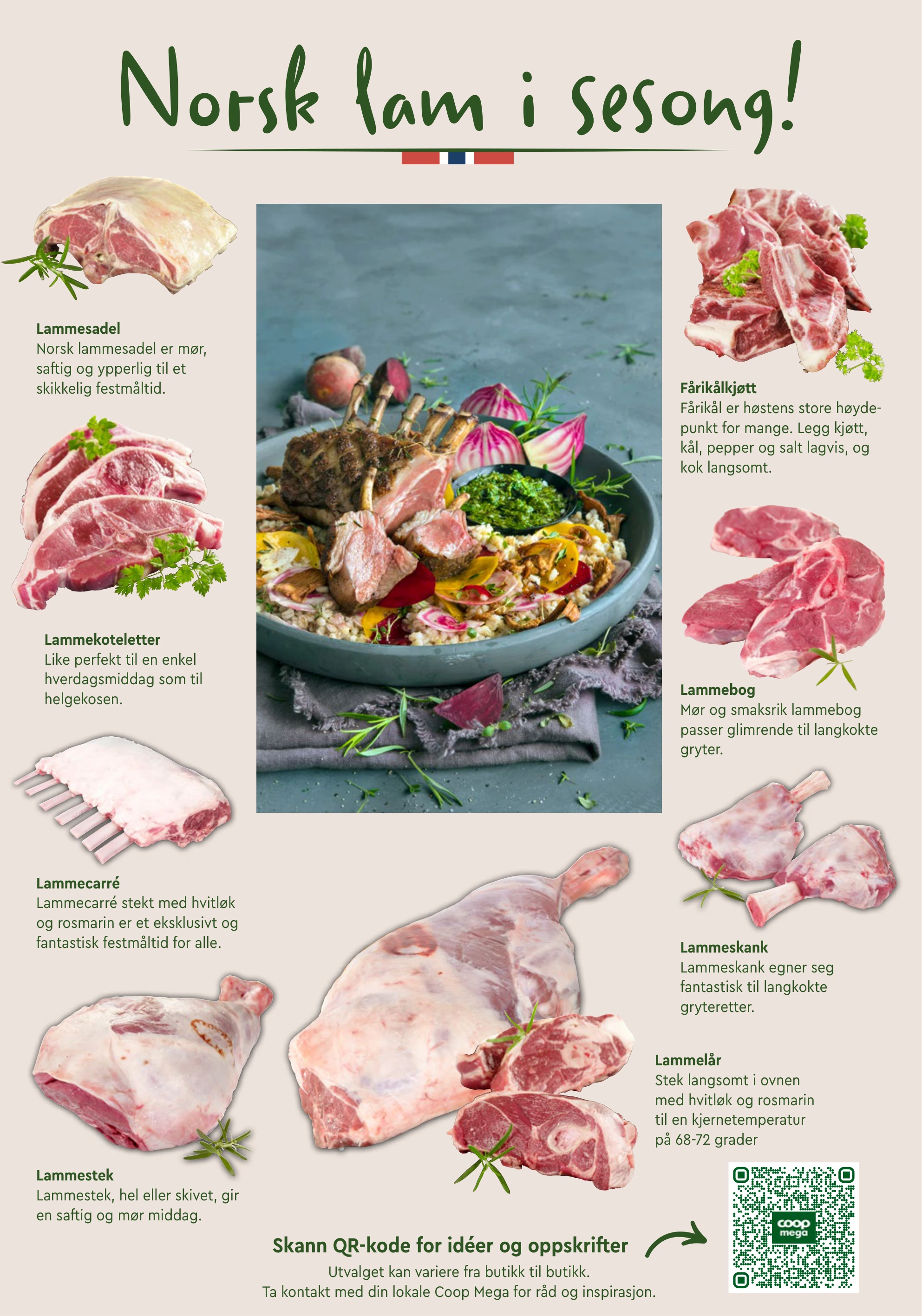 Flyer page 12