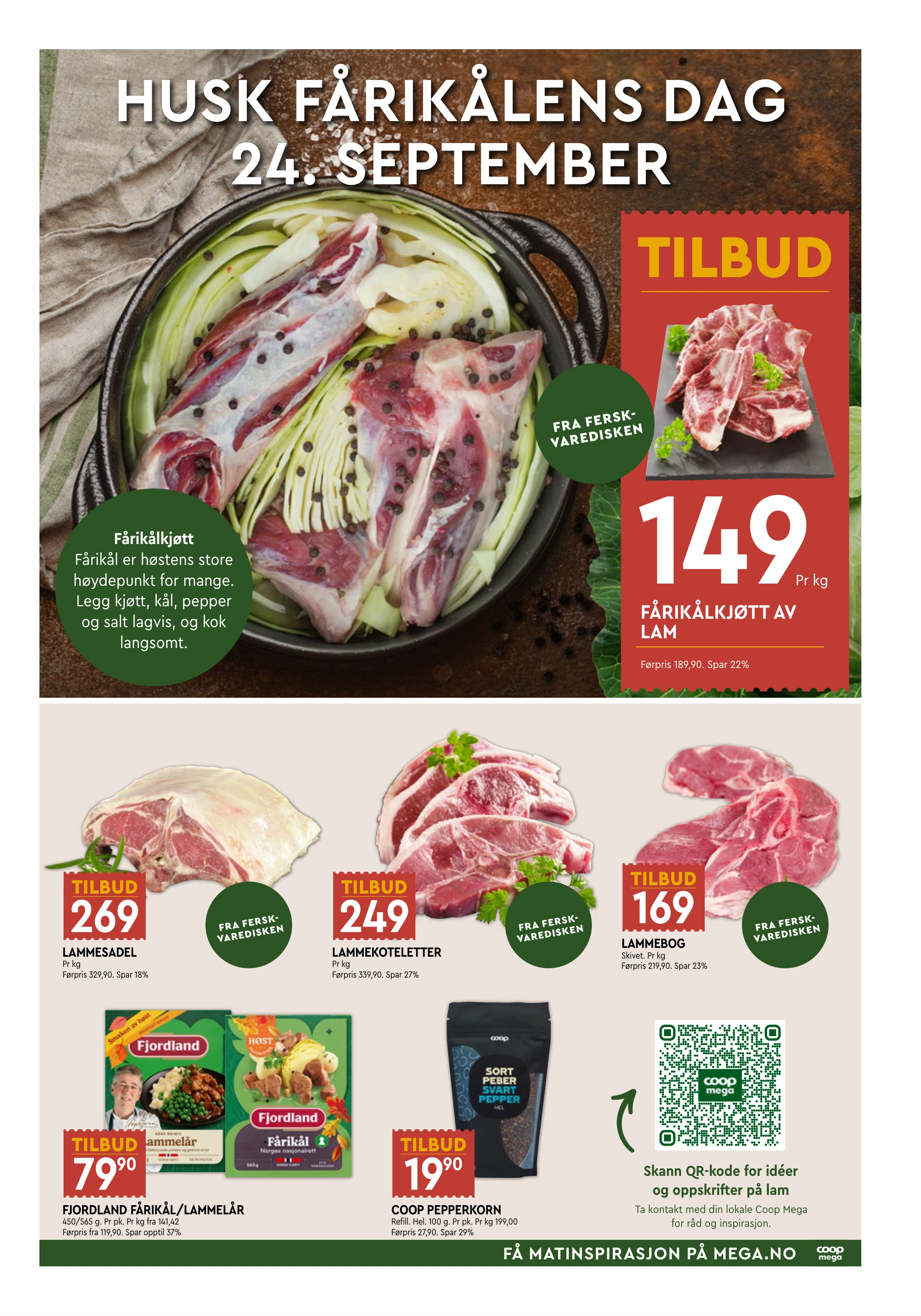 Flyer page 3