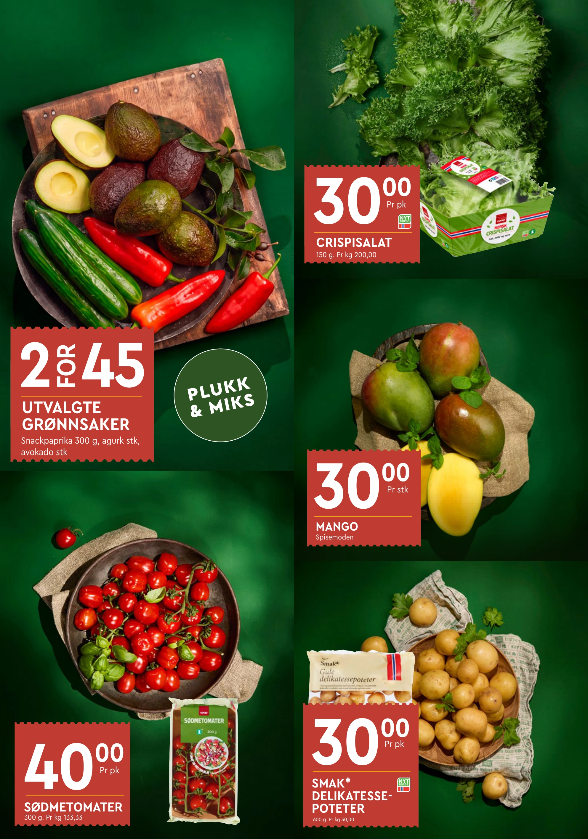 Flyer page 9